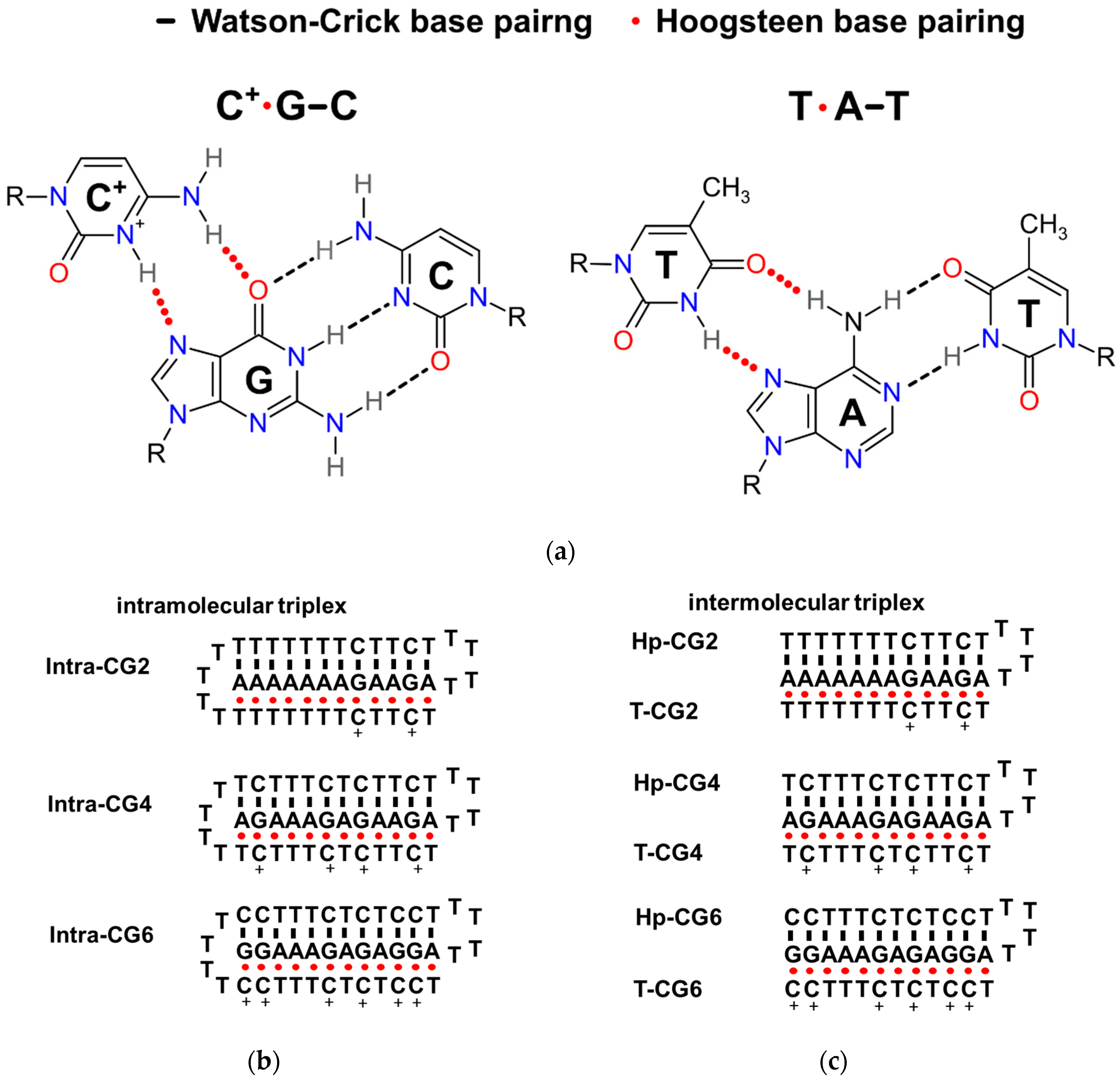 Molecules 25 00387 g001 Molecules 25 00387 g001