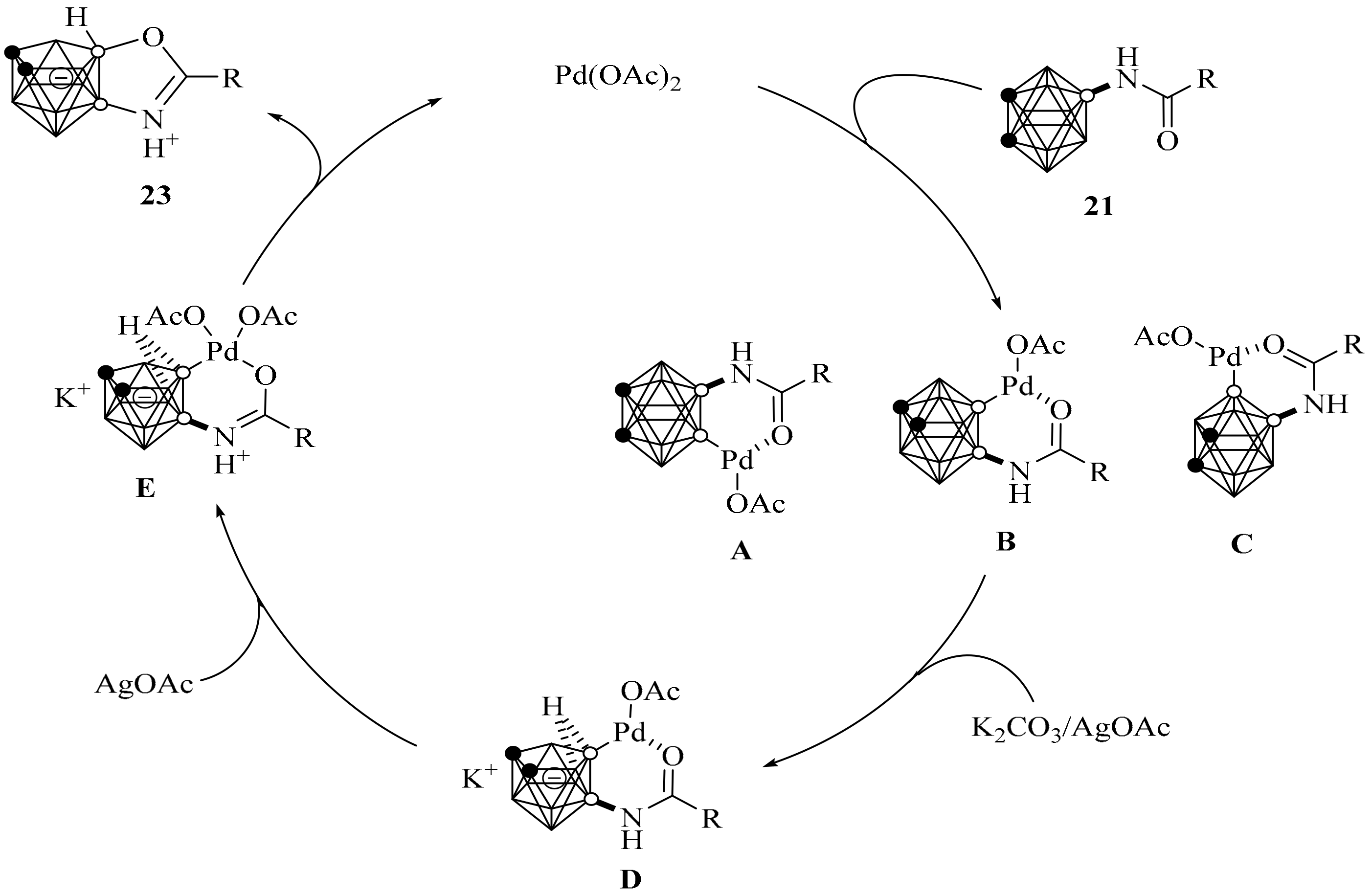 Molecules 25 00391 sch002
