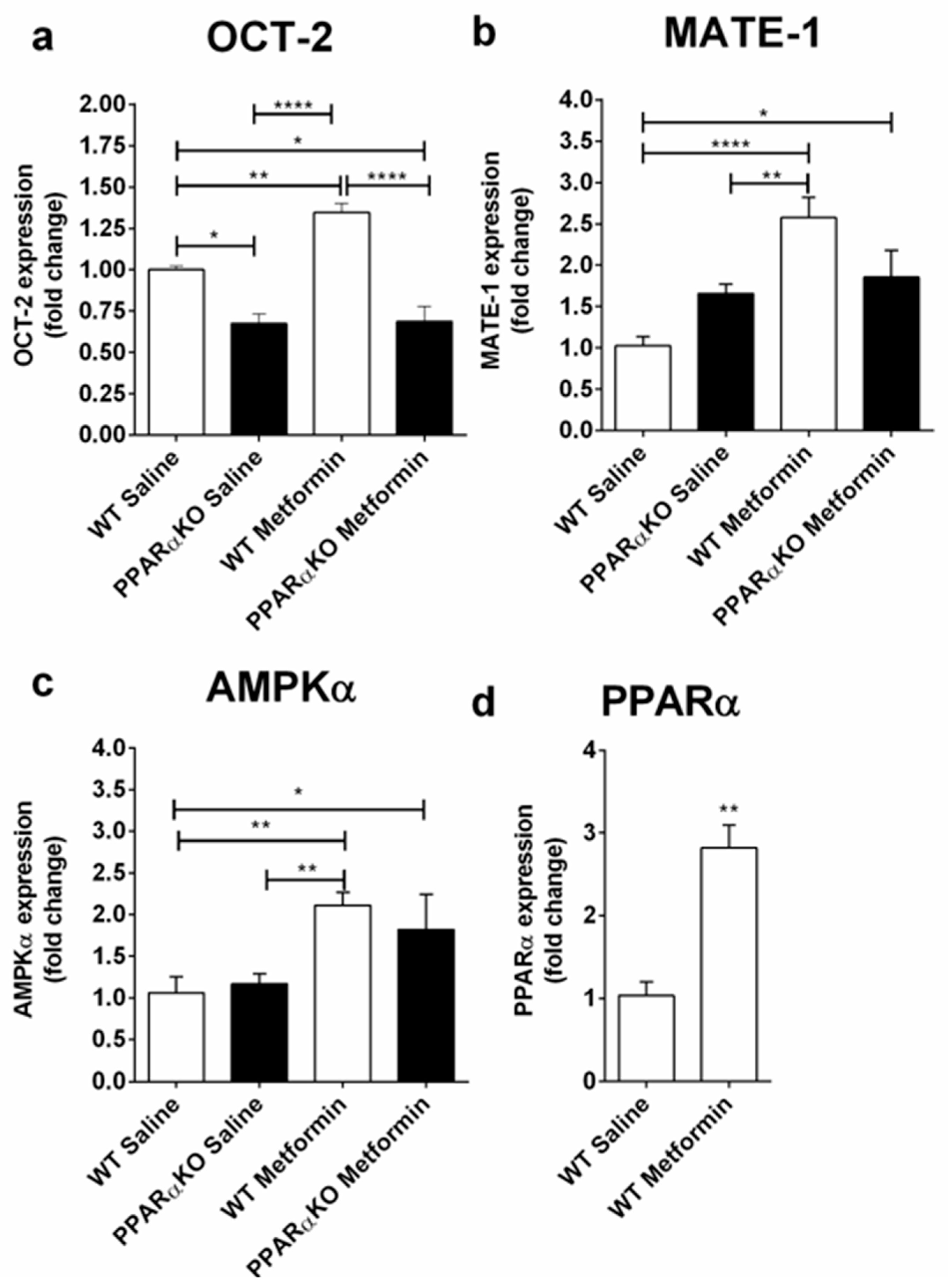 Molecules 25 00392 g001 Molecules 25 00392 g001