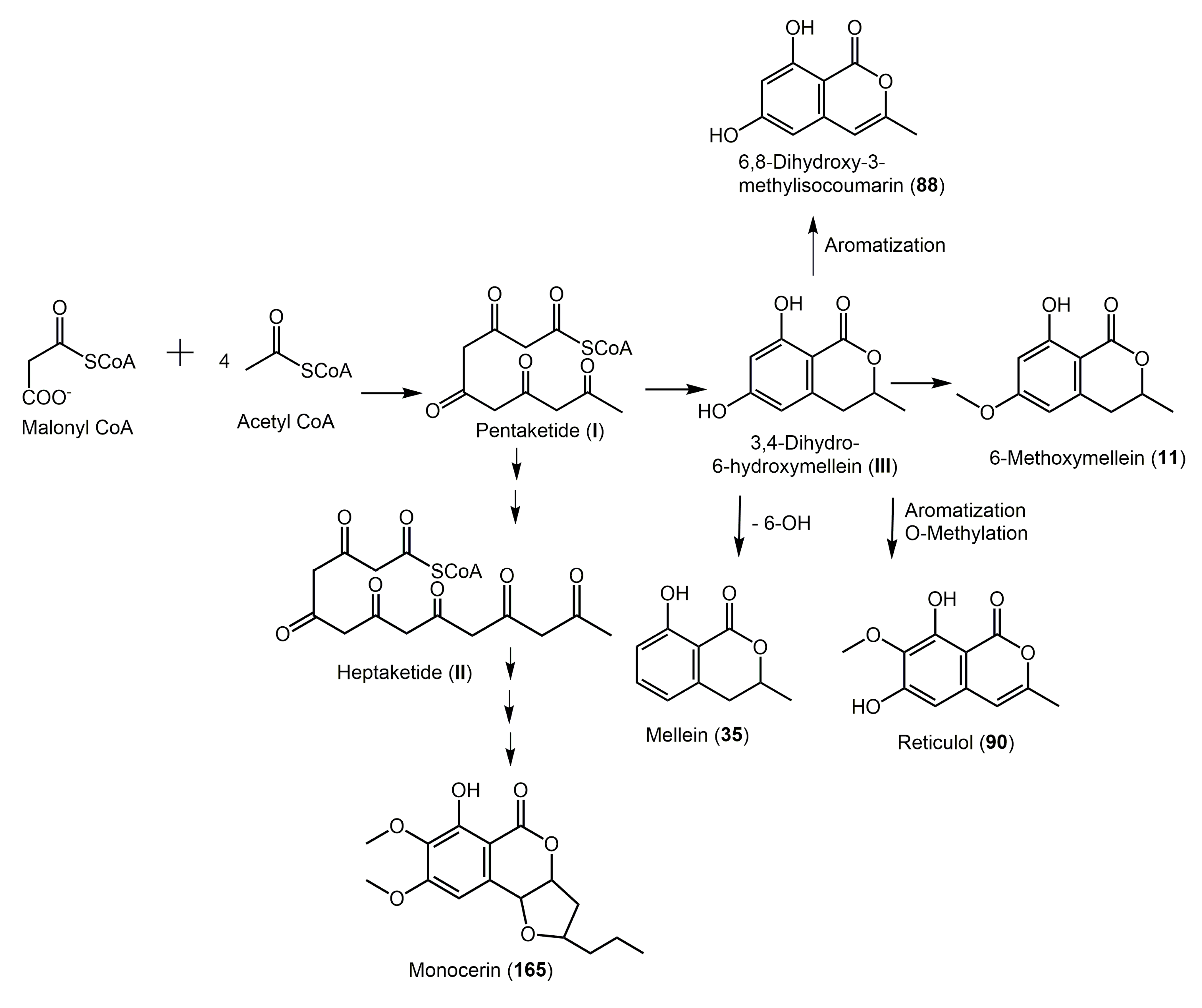 Molecules 25 00395 g031 Molecules 25 00395 g031