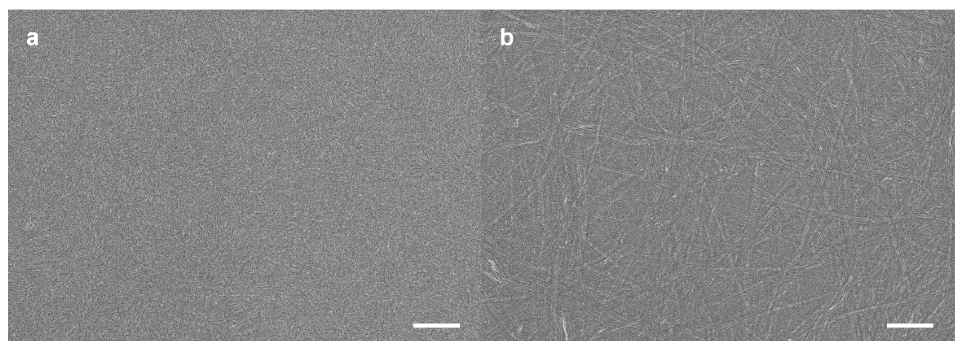 Molecules 25 00402 g001 Molecules 25 00402 g001