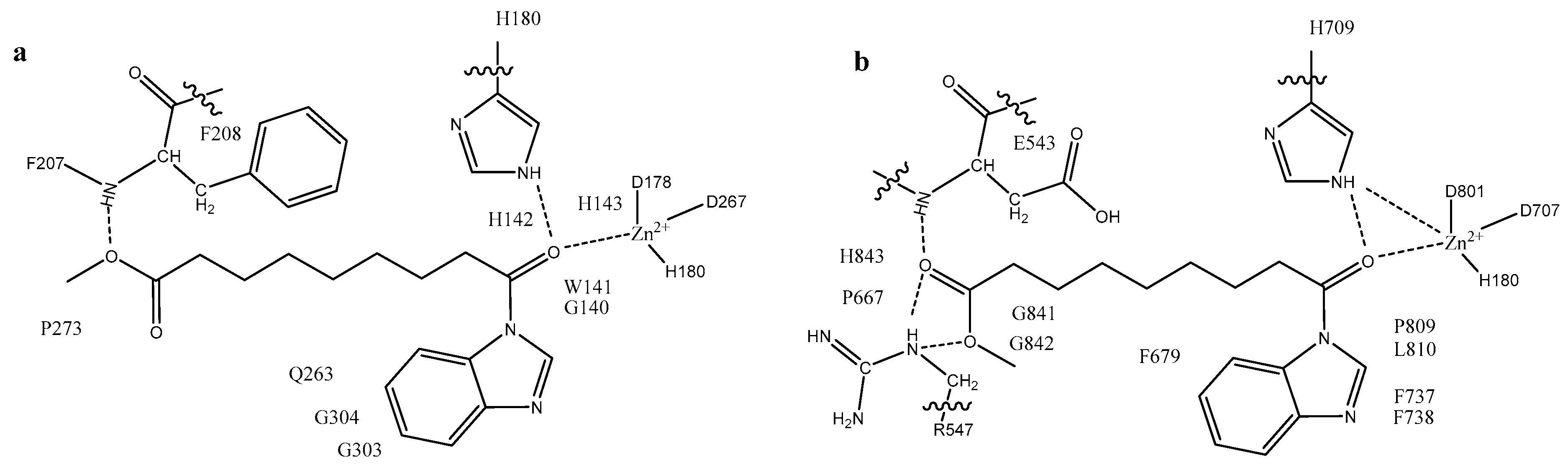 Molecules 25 00404 g007 Molecules 25 00404 g007