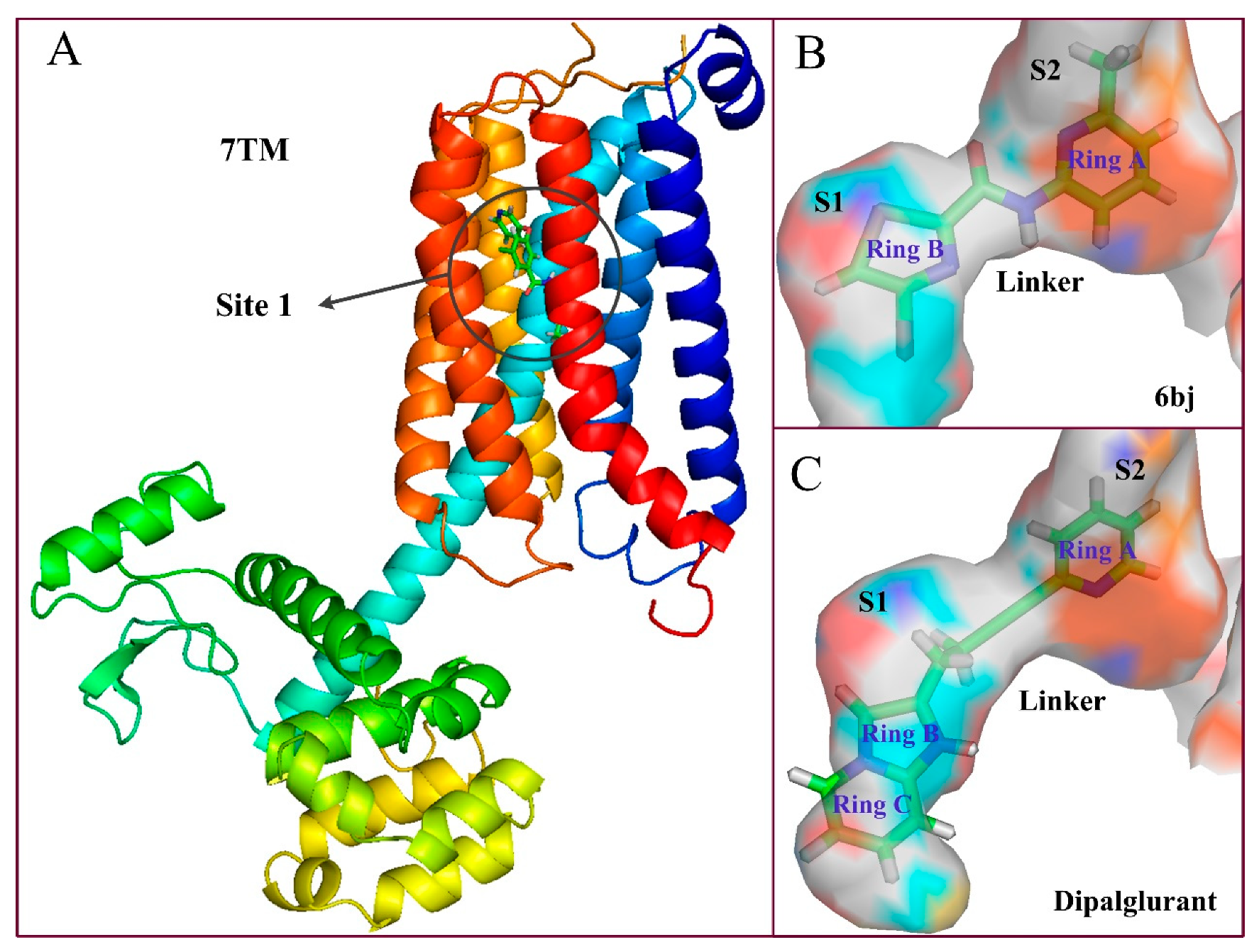 Molecules 25 00406 g011