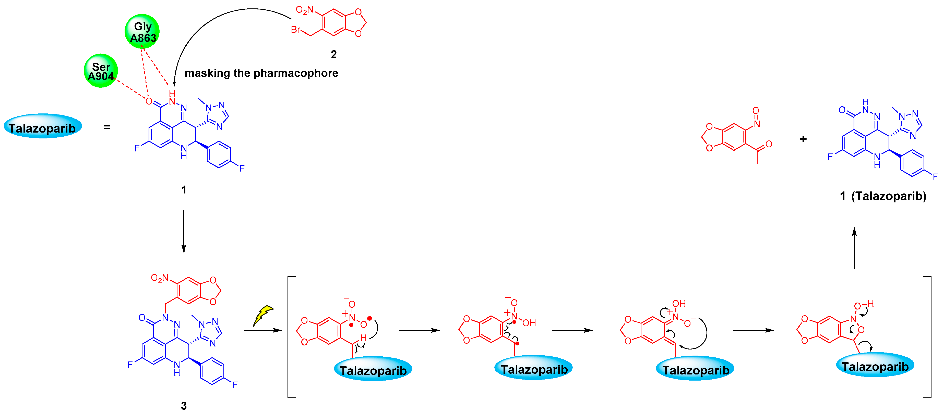Molecules 25 00407 g001