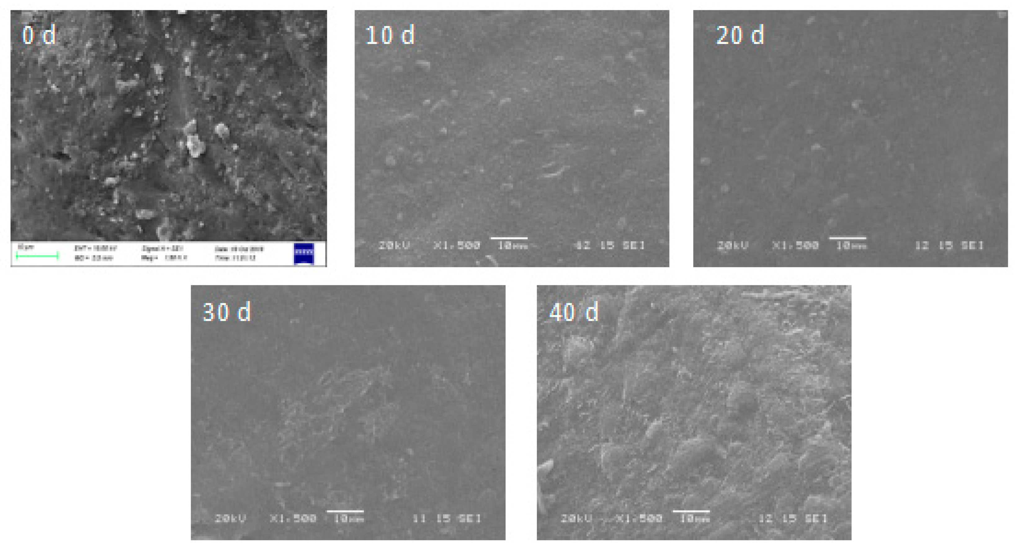 Molecules 25 00412 g004 Molecules 25 00412 g004