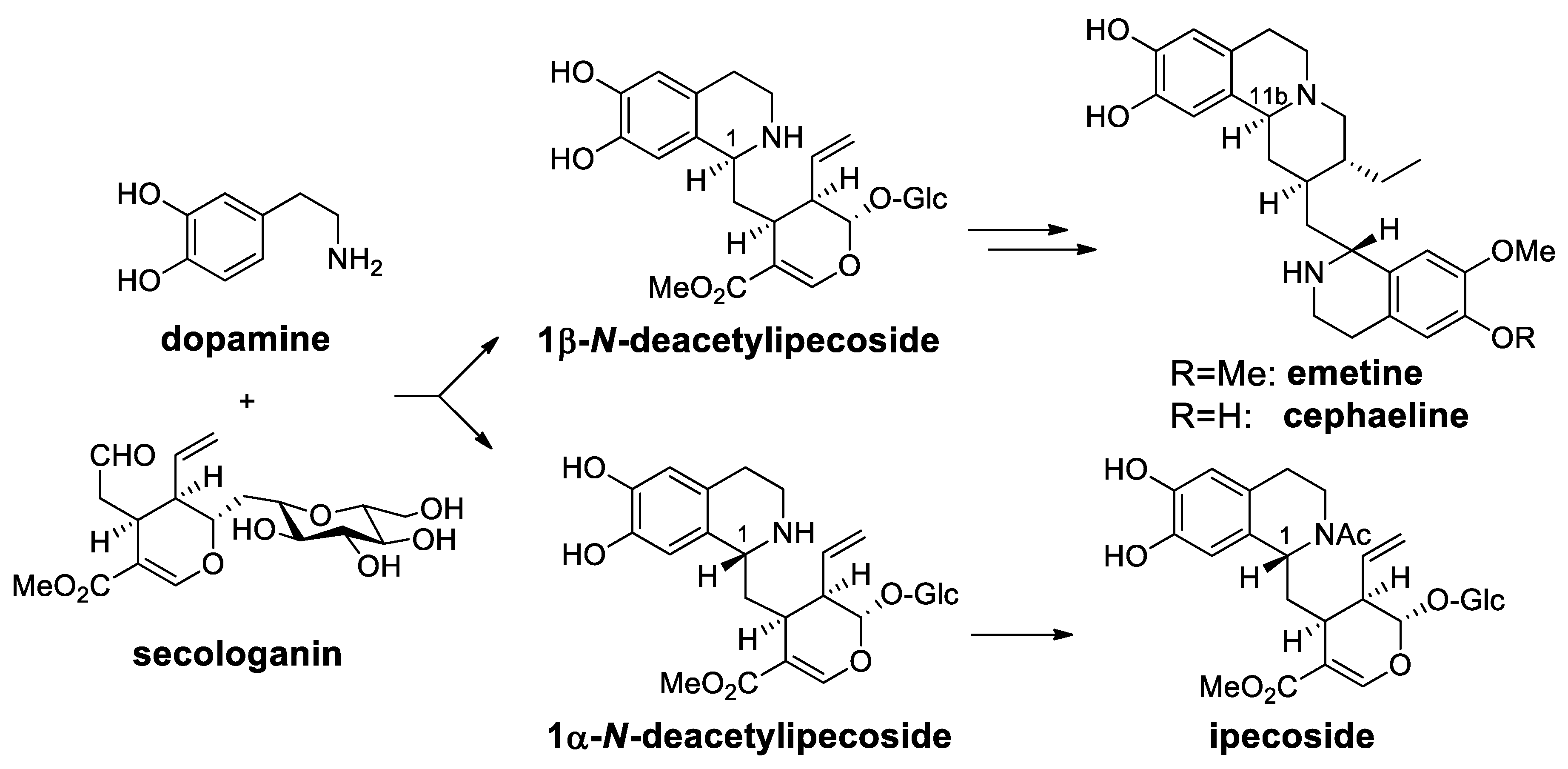 Molecules 25 00414 sch073 Molecules 25 00414 sch073