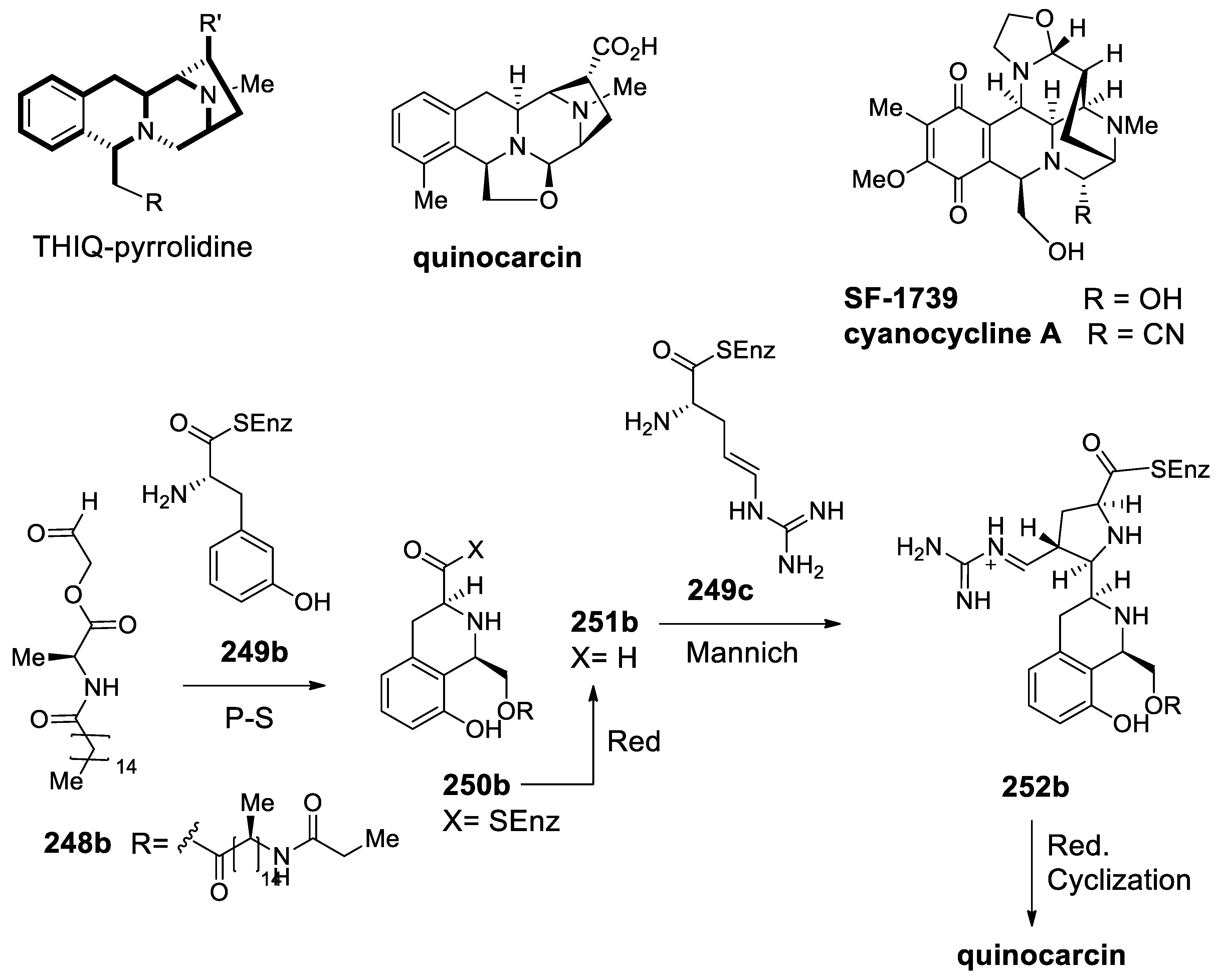 Molecules 25 00414 sch075 Molecules 25 00414 sch075