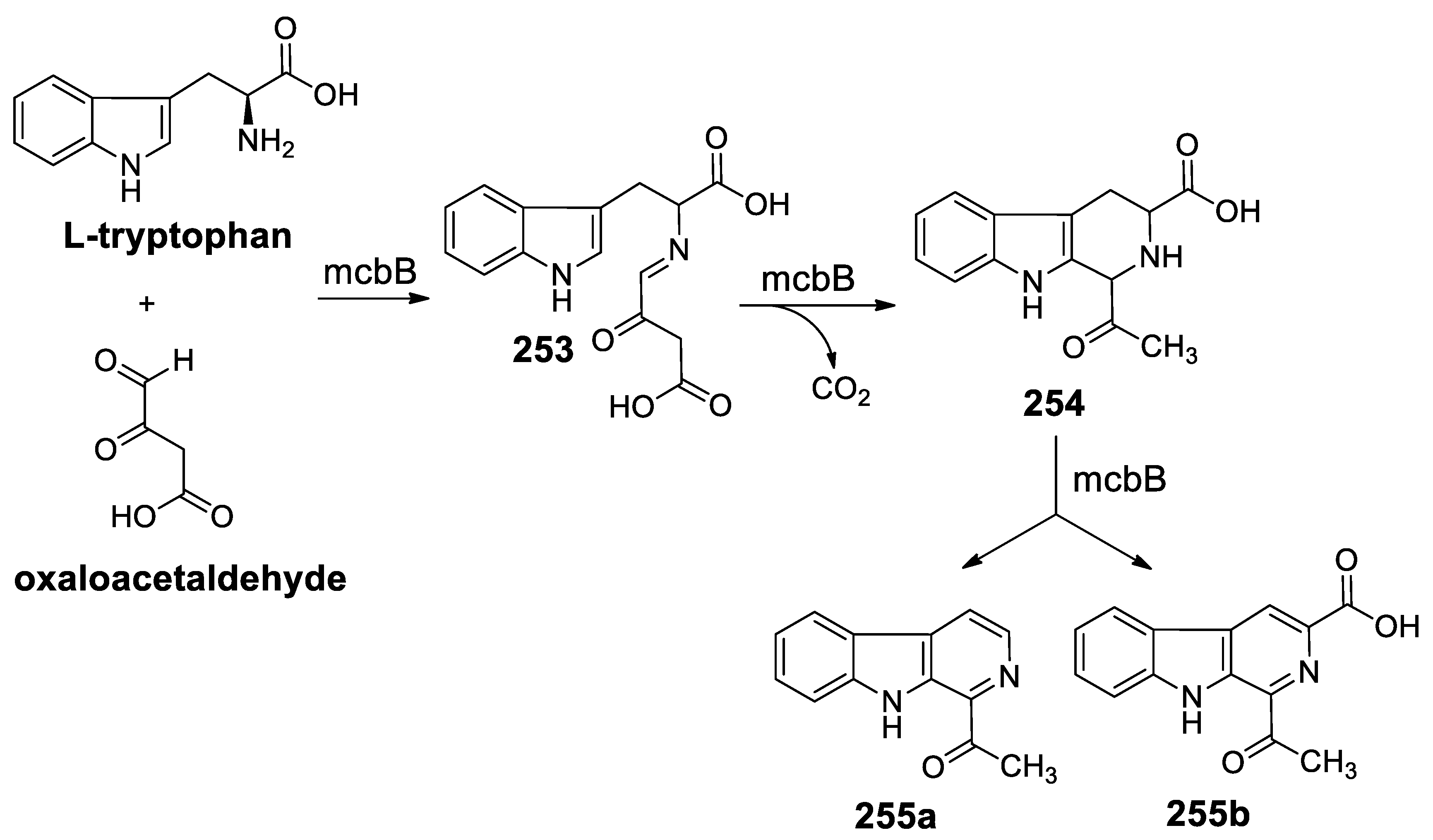 Molecules 25 00414 sch076 Molecules 25 00414 sch076