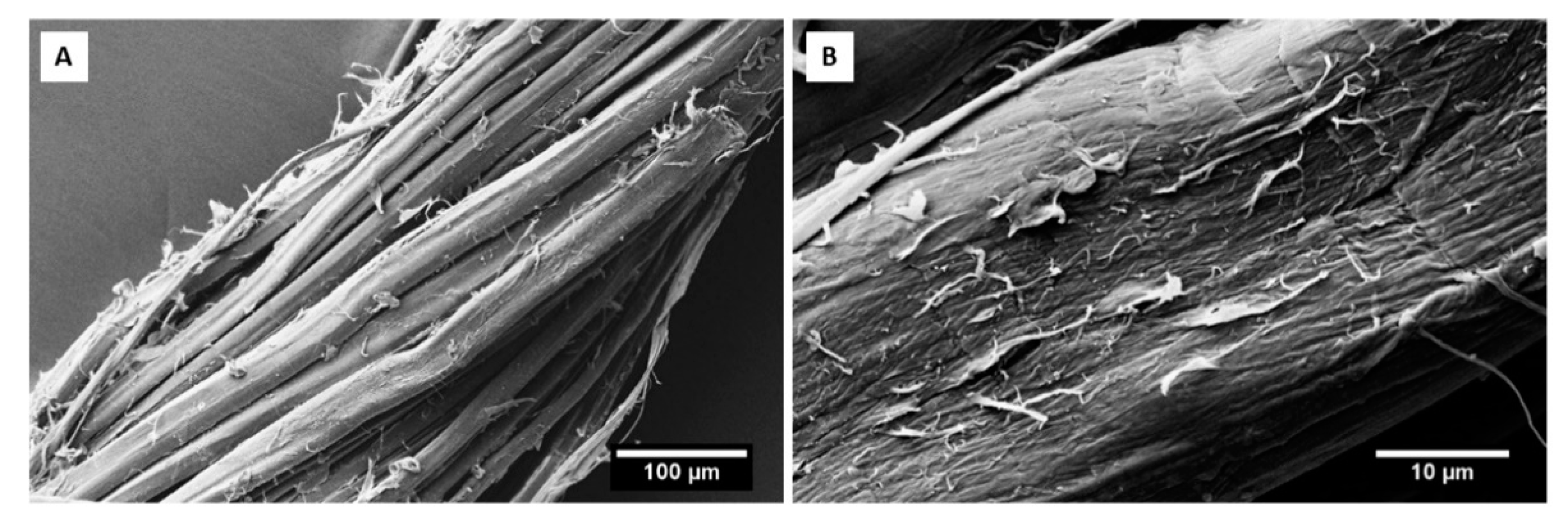Molecules 25 00438 g002 Molecules 25 00438 g002