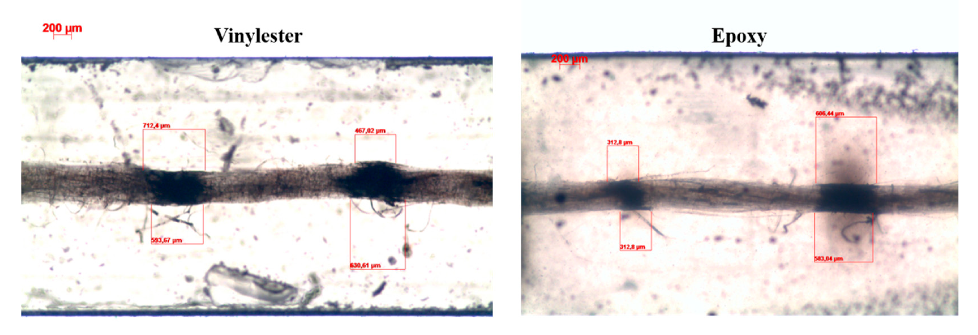 Molecules 25 00438 g007 Molecules 25 00438 g007