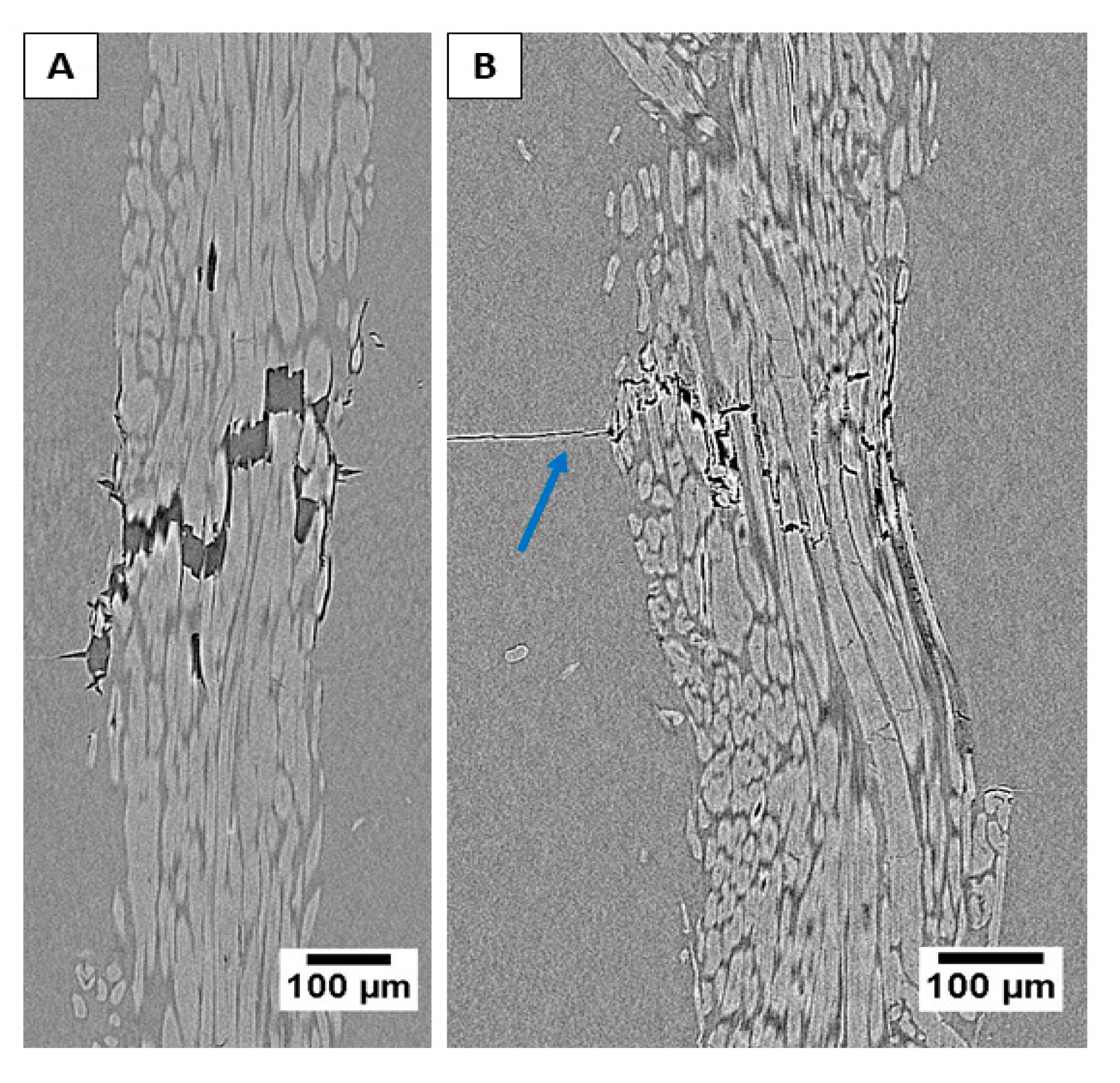 Molecules 25 00438 g008 Molecules 25 00438 g008
