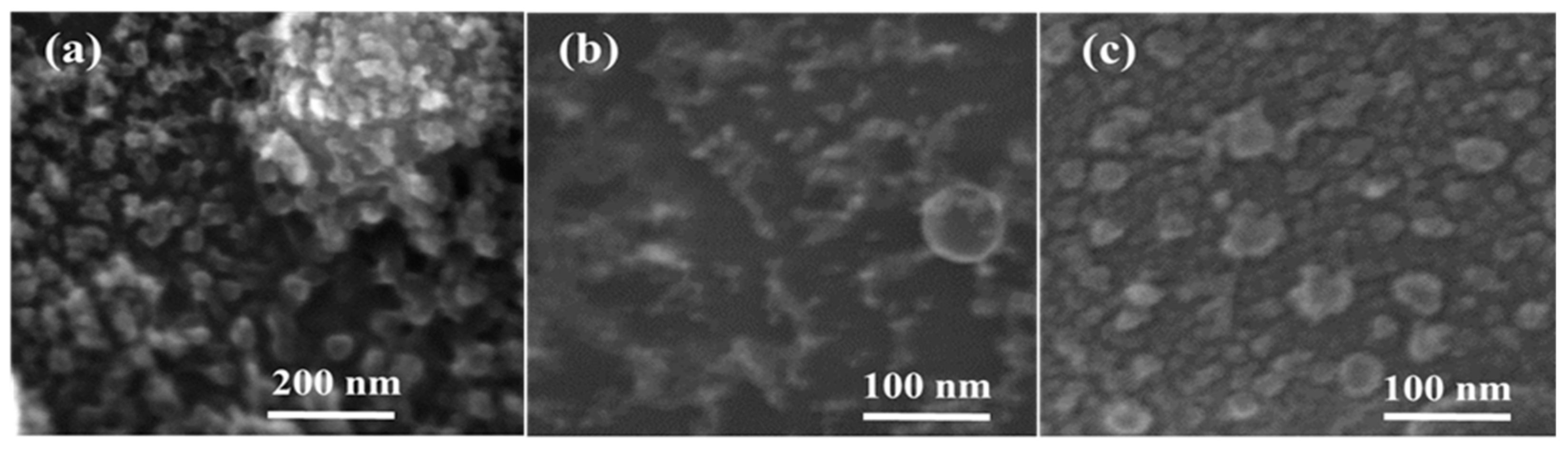 Molecules 25 00440 g002 Molecules 25 00440 g002