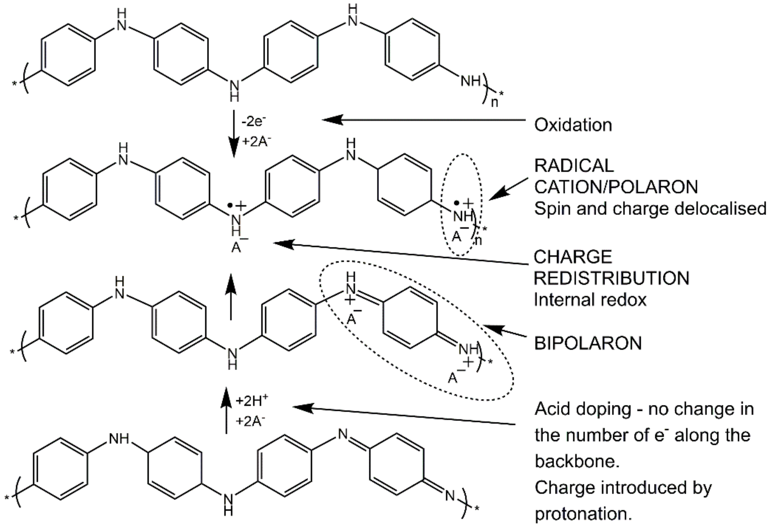 Molecules 25 00444 sch002