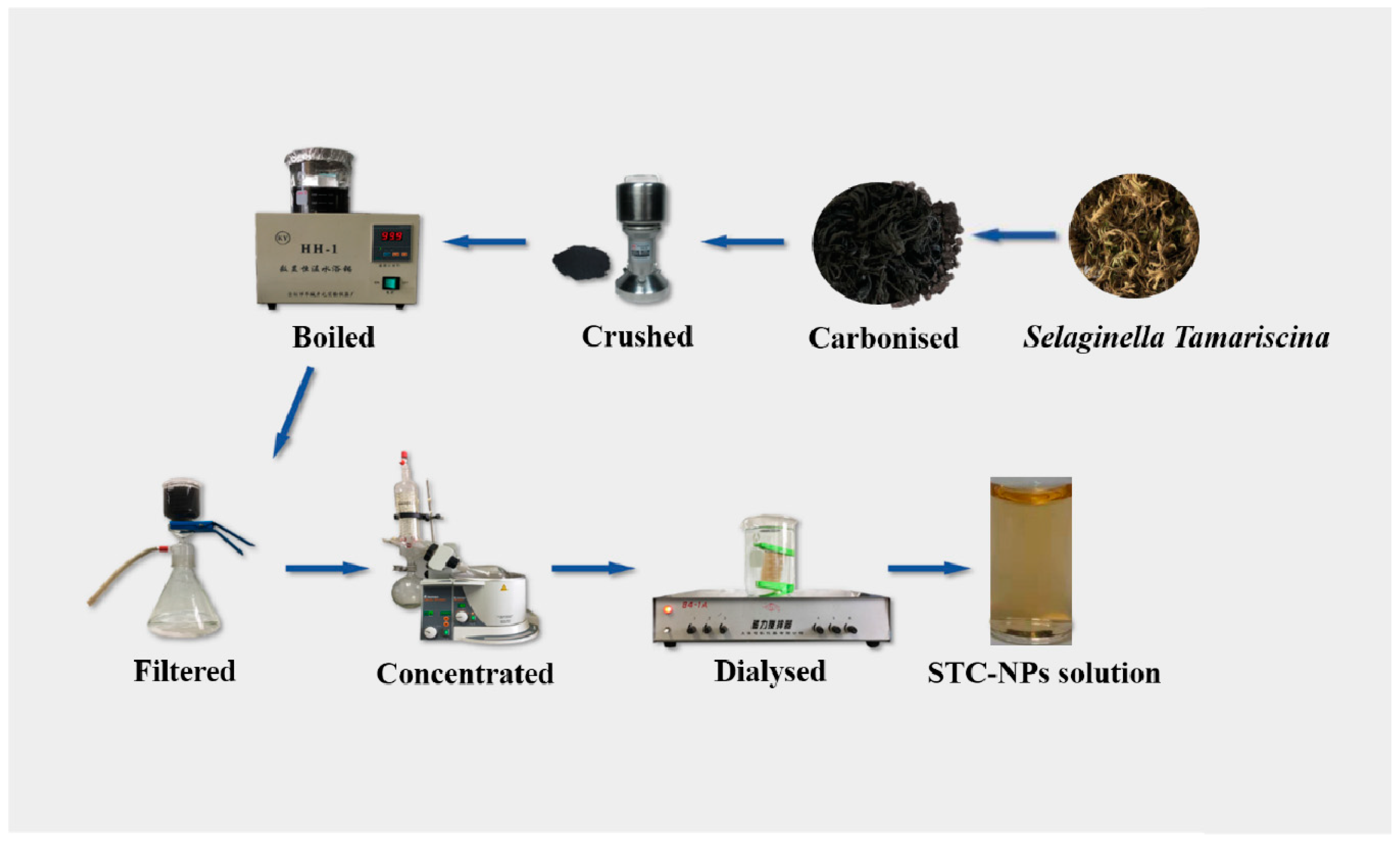Molecules 25 00446 g008