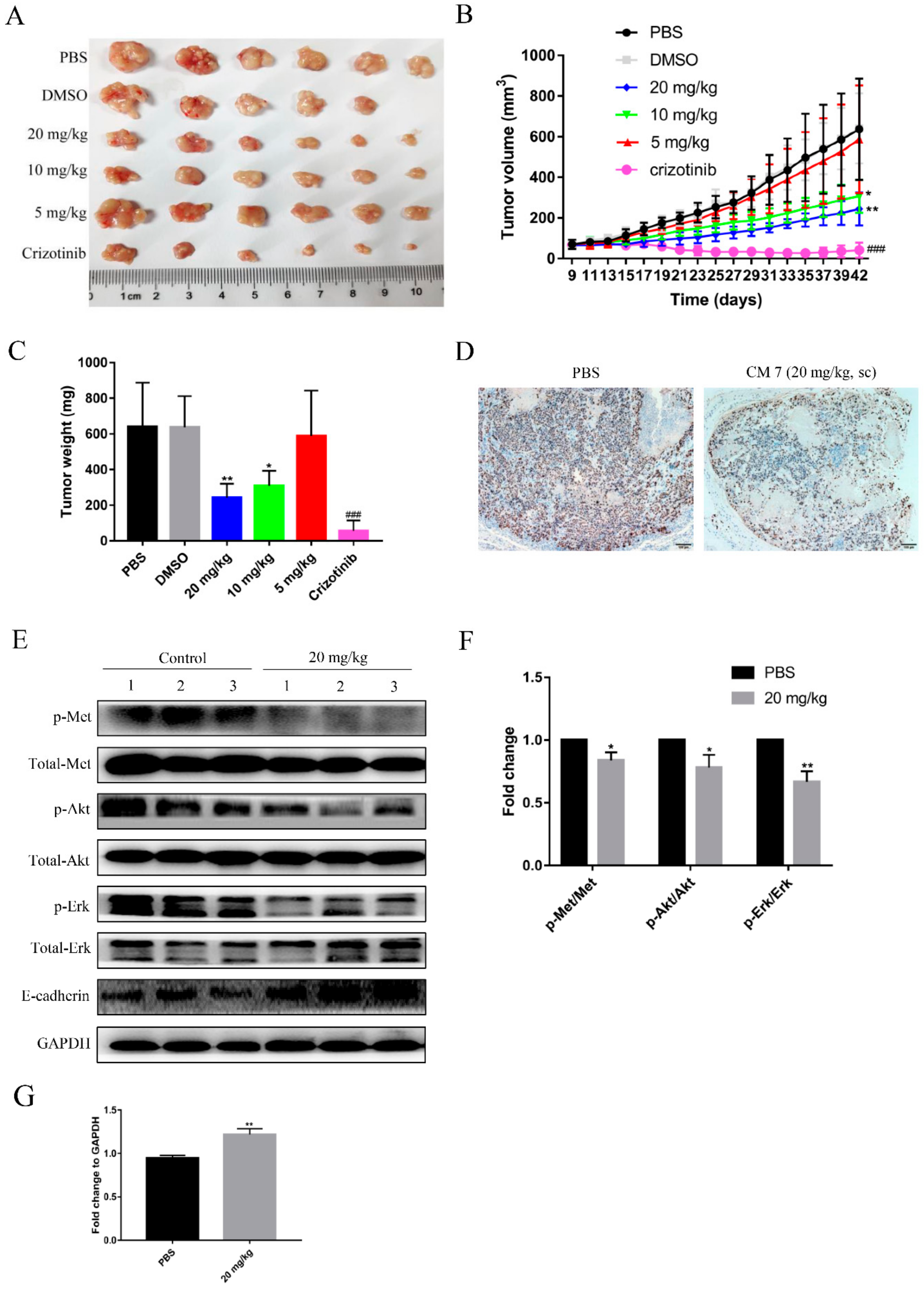 Molecules 25 00451 g009 Molecules 25 00451 g009