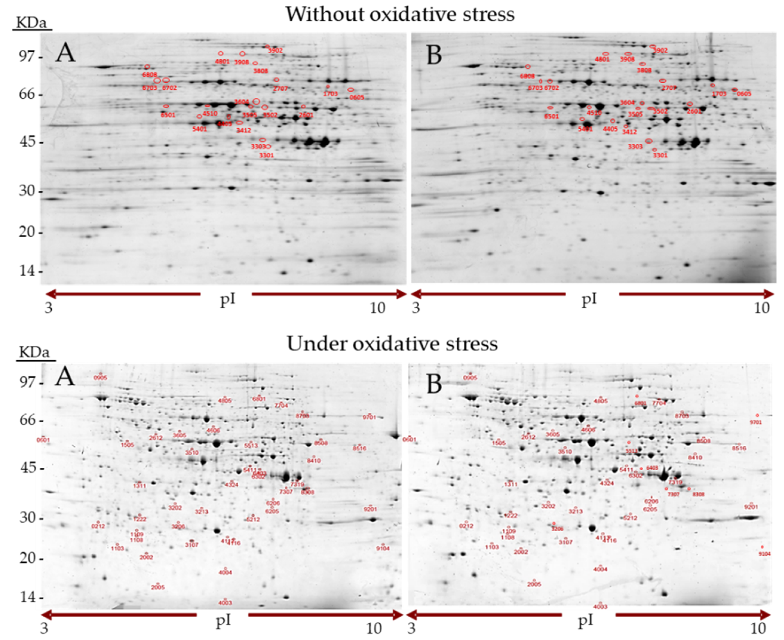 Molecules 25 00452 g001