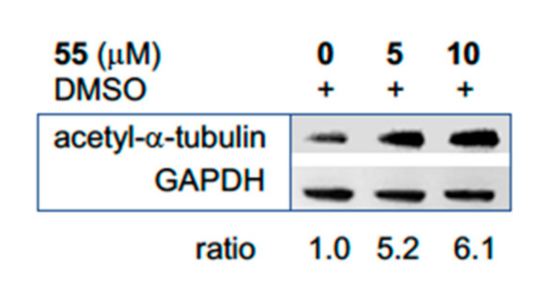 Molecules 25 00455 g002