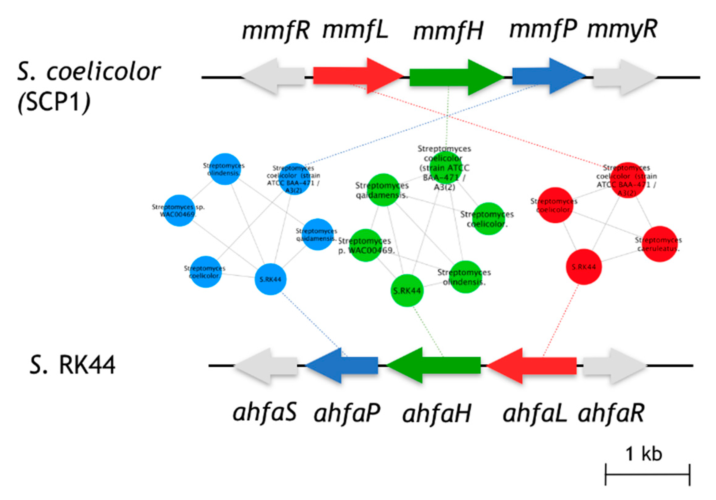 Molecules 25 00460 g002 Molecules 25 00460 g002