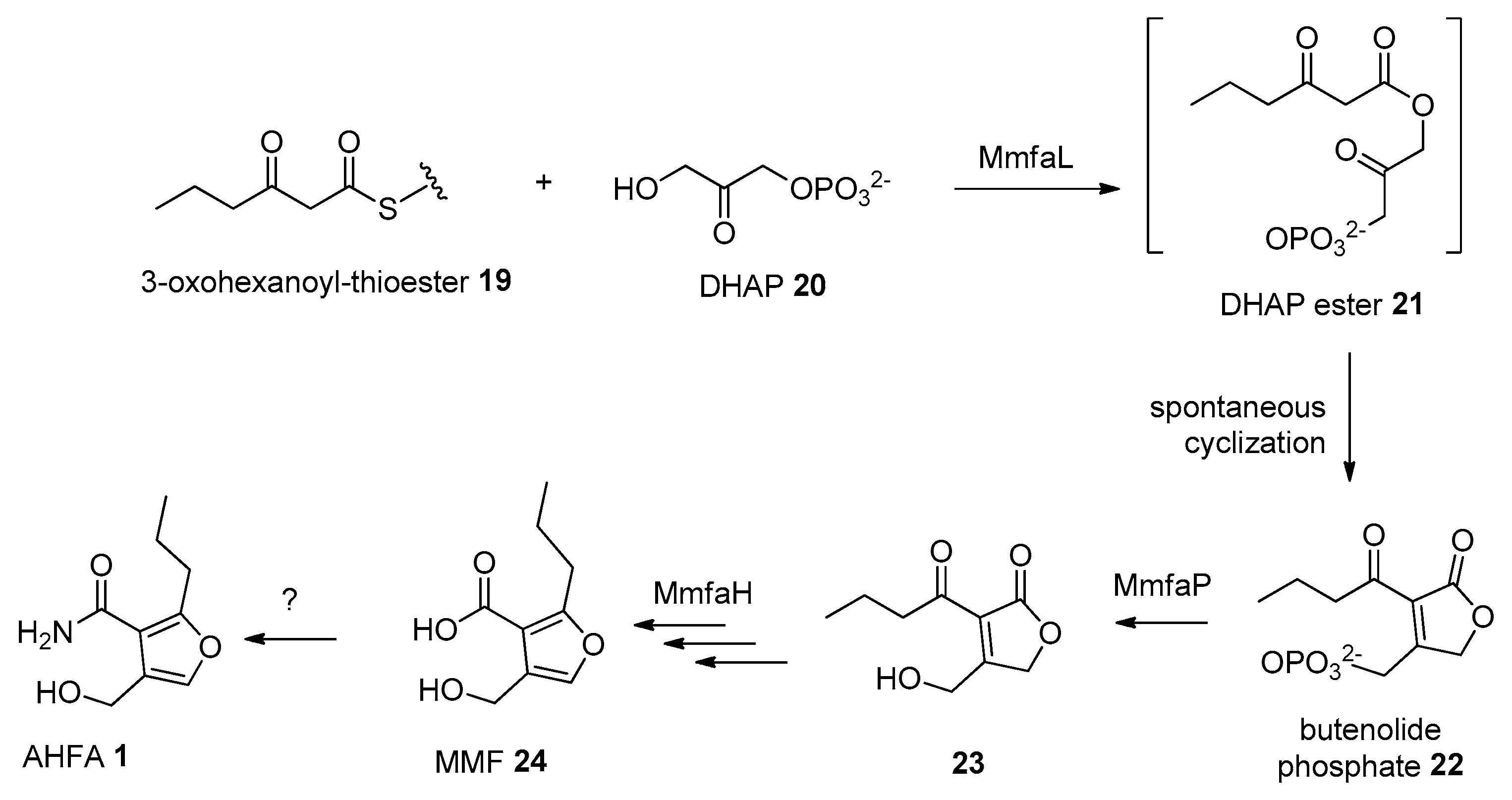 Molecules 25 00460 sch001 Molecules 25 00460 sch001