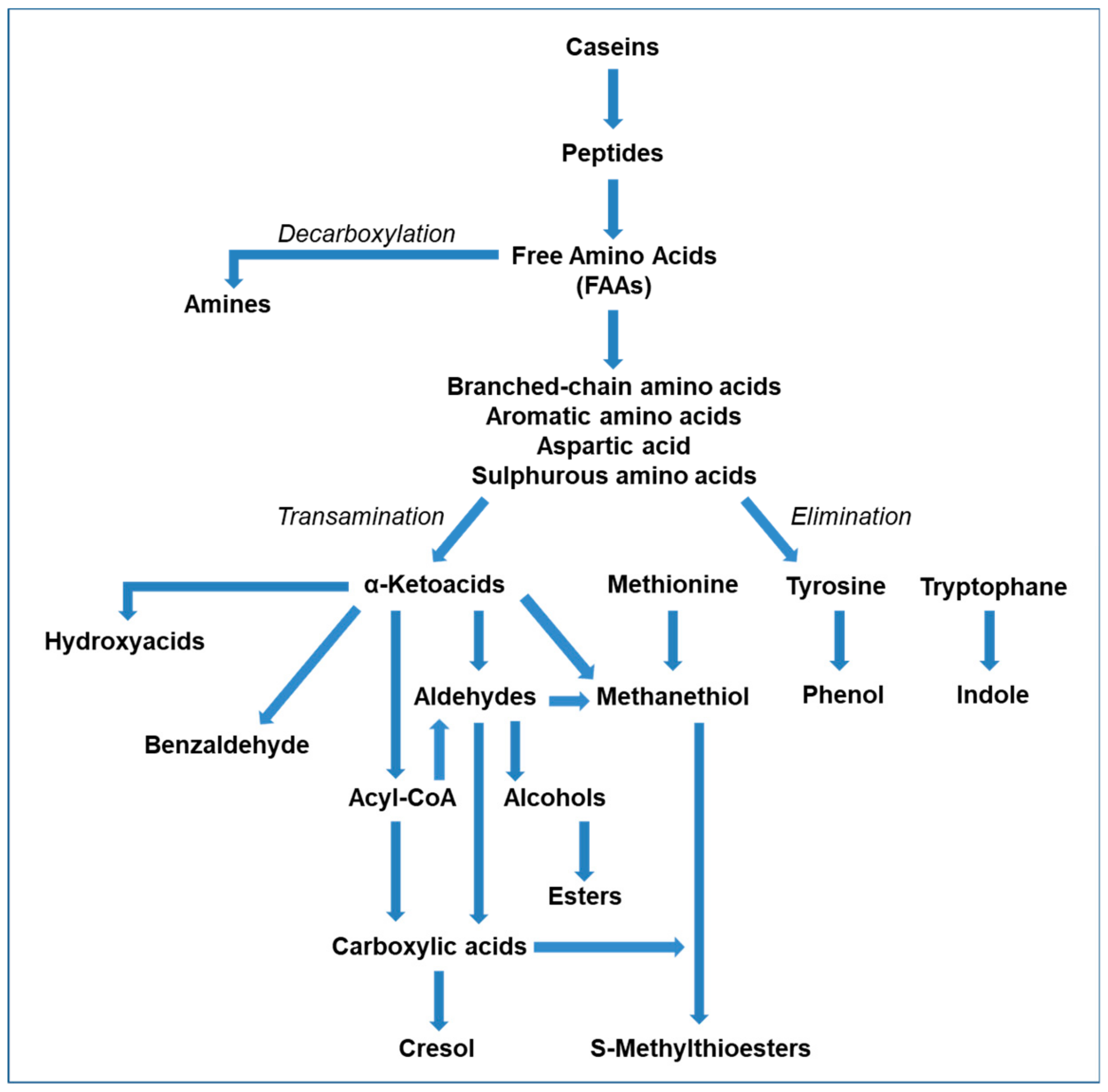 Molecules Free Full Text Volatile Flavor Compounds In Cheese As Affected By Ruminant Diet Html Molecules Free Full Text Volatile Flavor Compounds In Cheese As Affected By Ruminant Diet Html