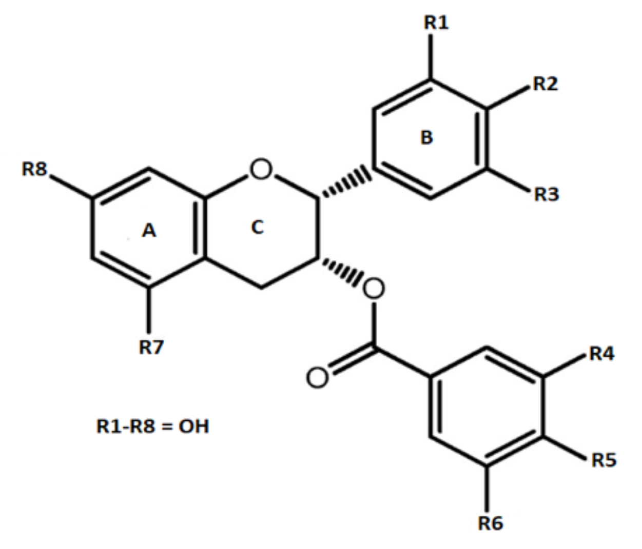 Molecules Free Full Text Preclinical Activities Of Epigallocatechin Gallate In Signaling Pathways In Cancer Html