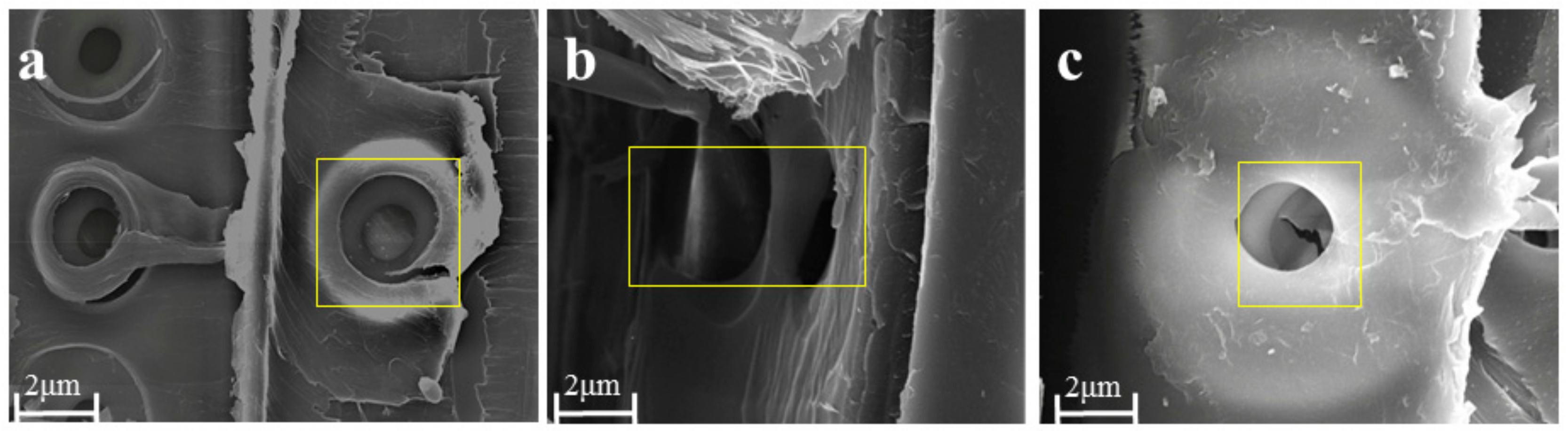 Molecules 25 00471 g005 Molecules 25 00471 g005