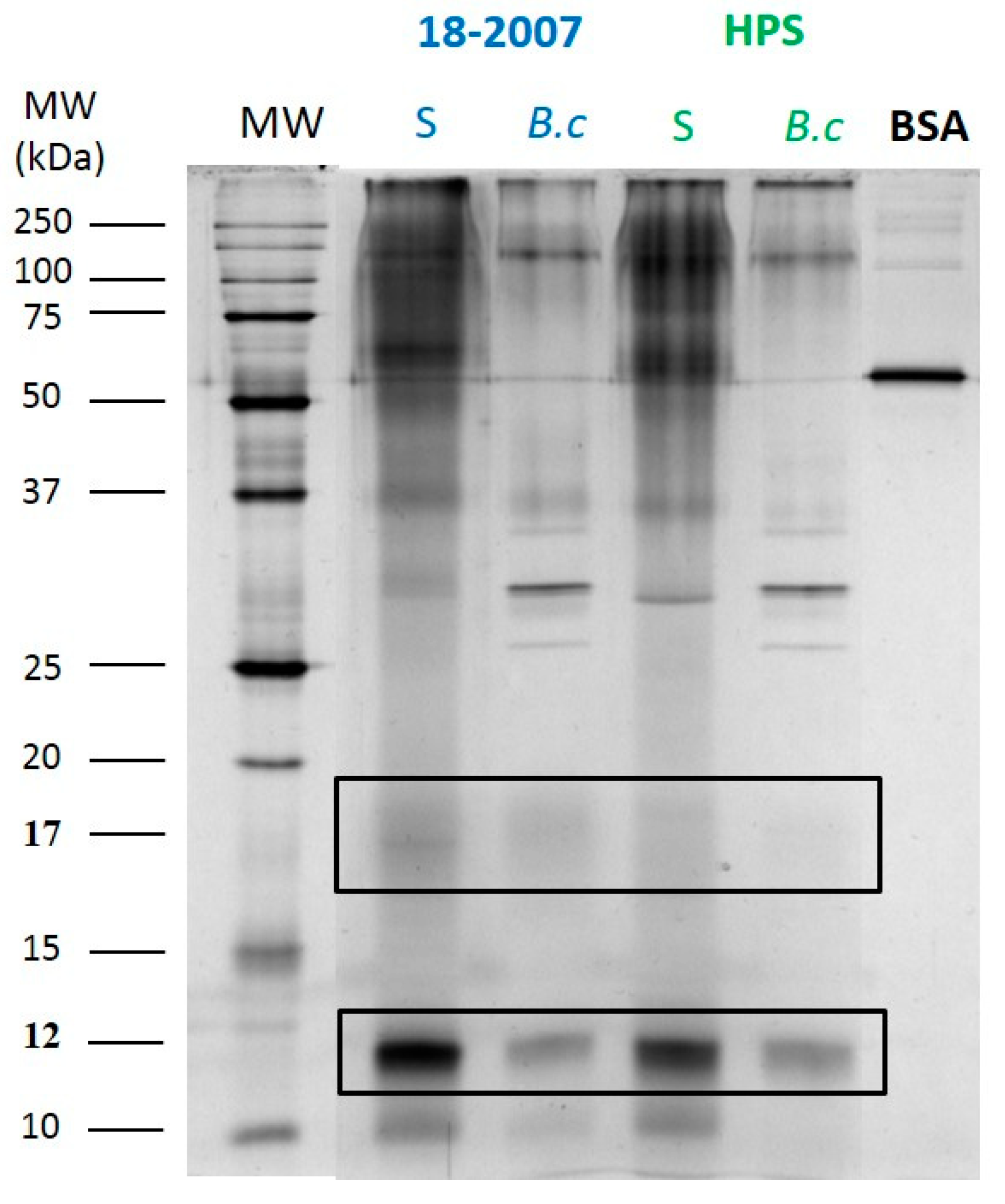Molecules 25 00472 g003 550