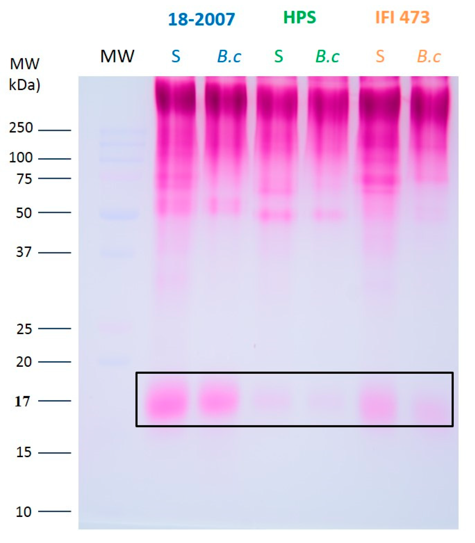 Molecules 25 00472 g005 550