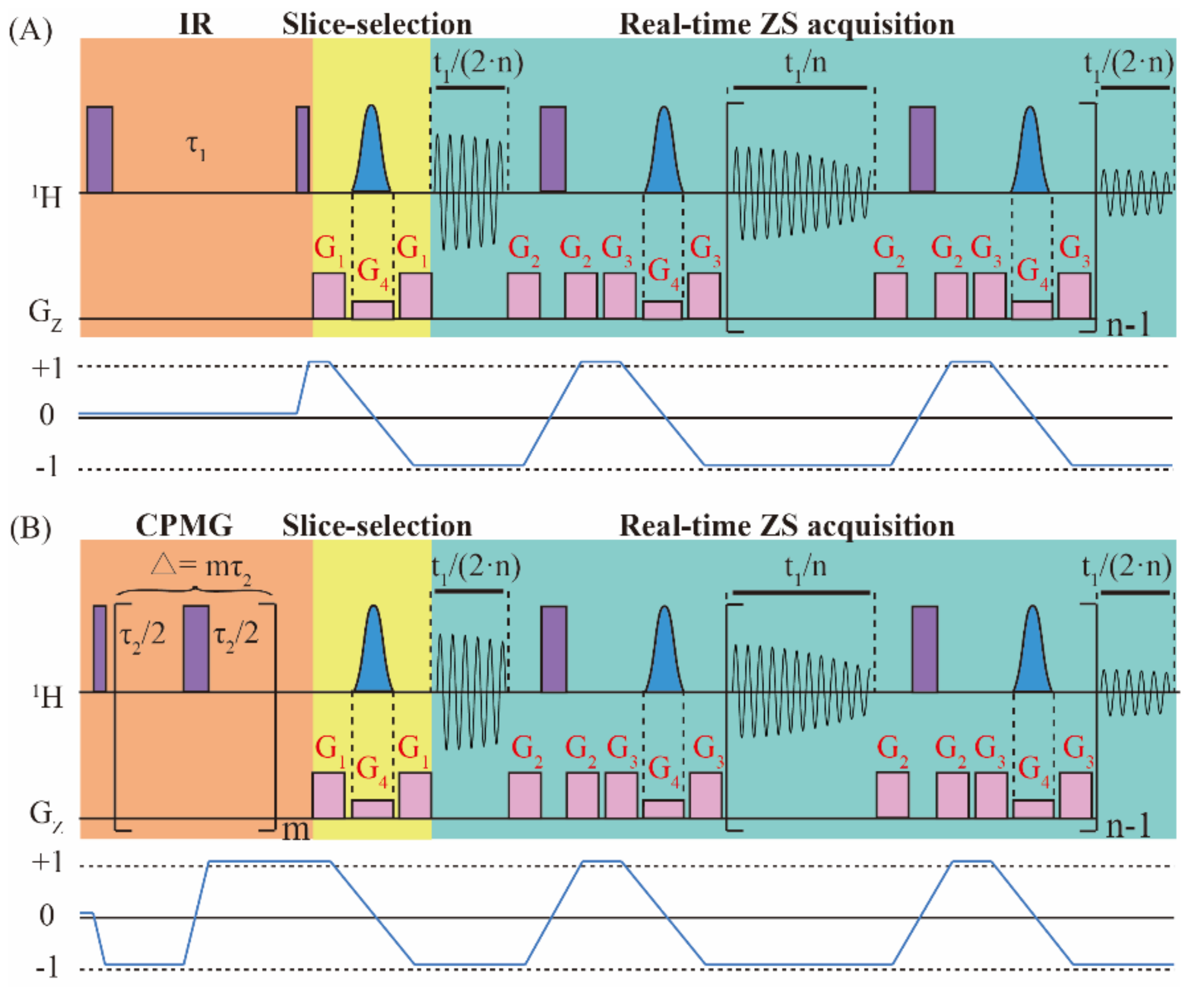 The time scale for events related to proteins. NMR-based techniques