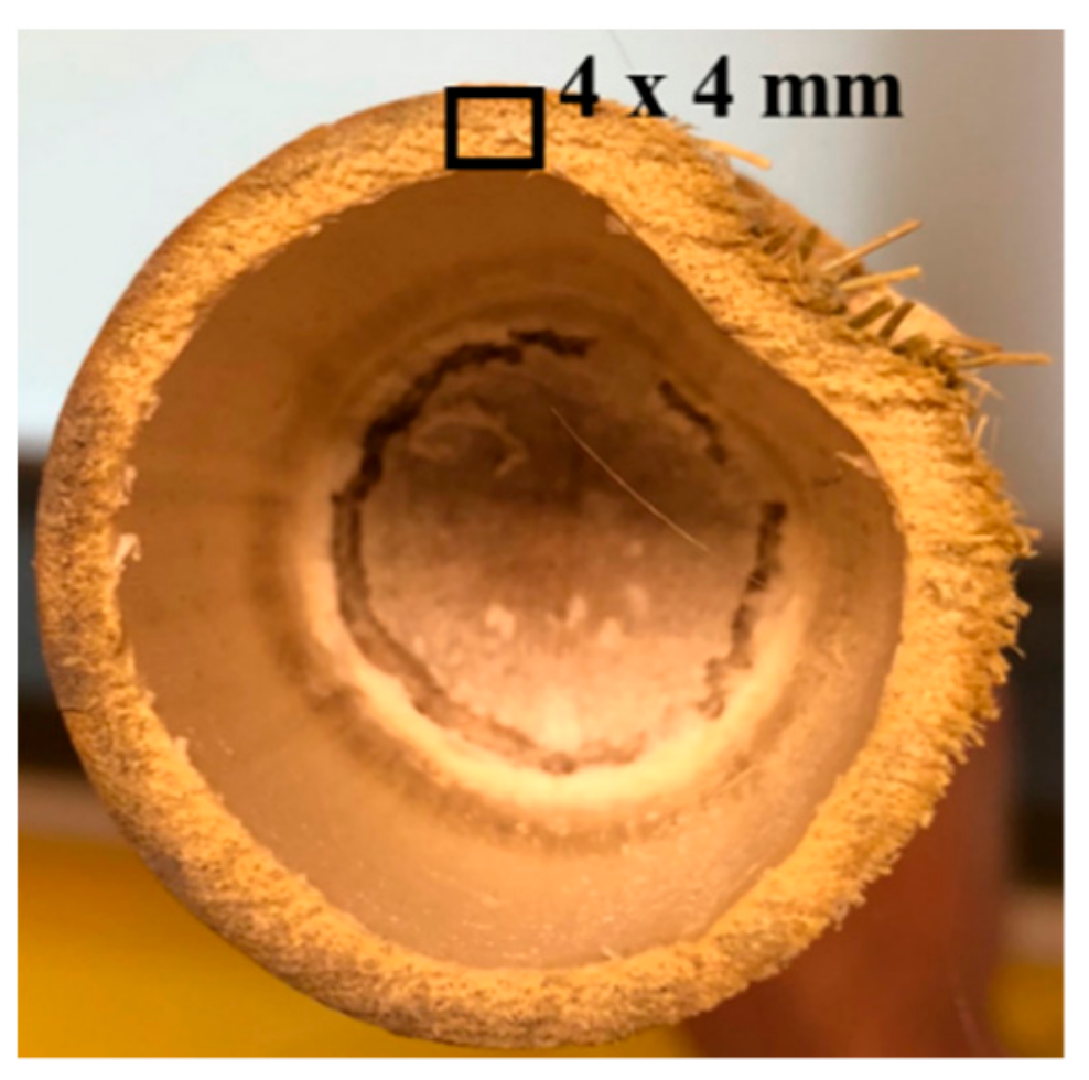 Molecules 25 00474 g011 Molecules 25 00474 g011