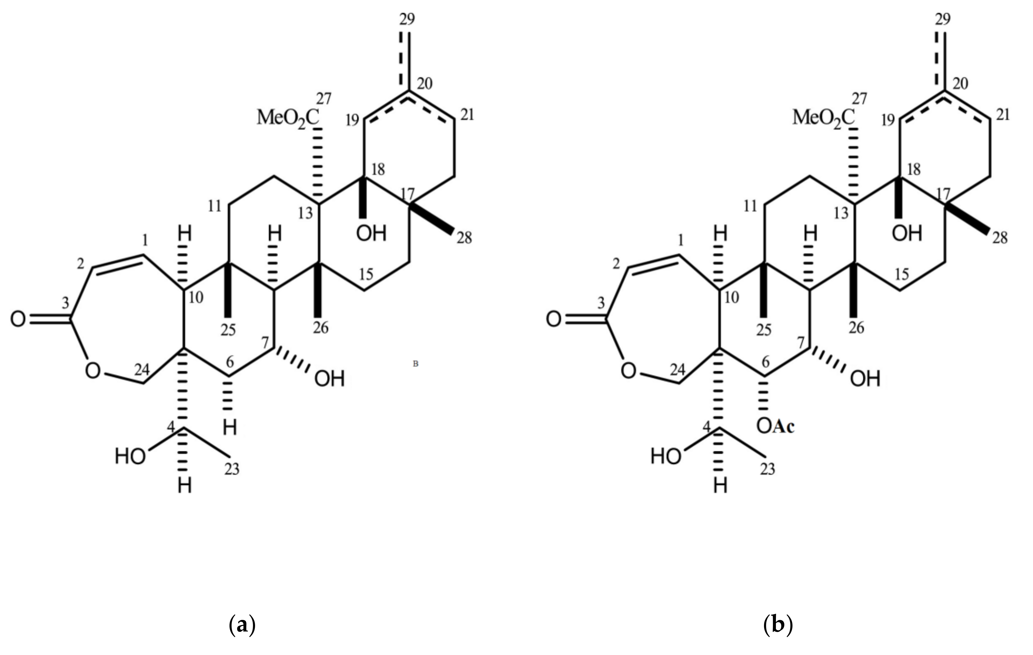 Molecules 25 00477 g001 Molecules 25 00477 g001