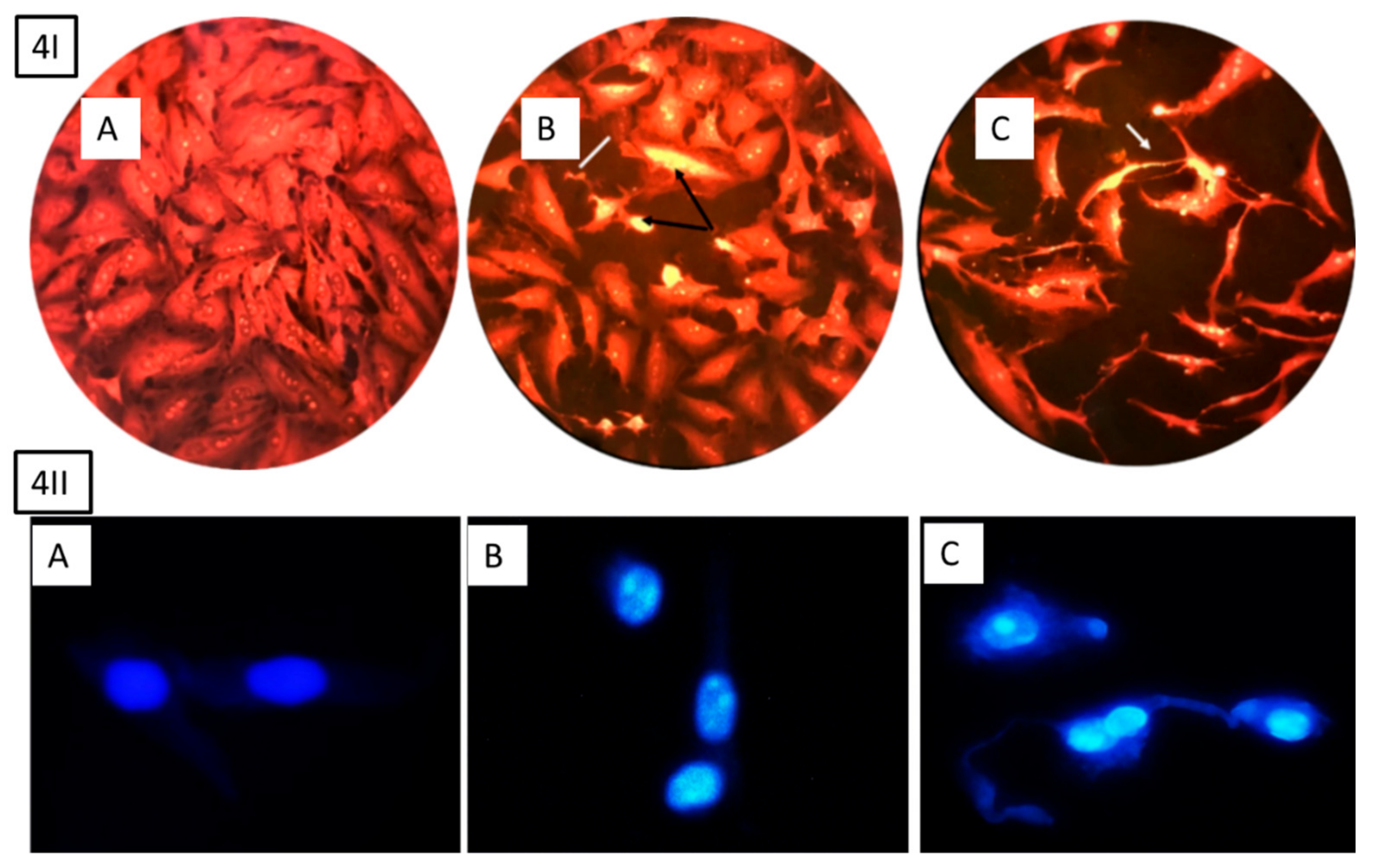 Molecules 25 00478 g004 Molecules 25 00478 g004