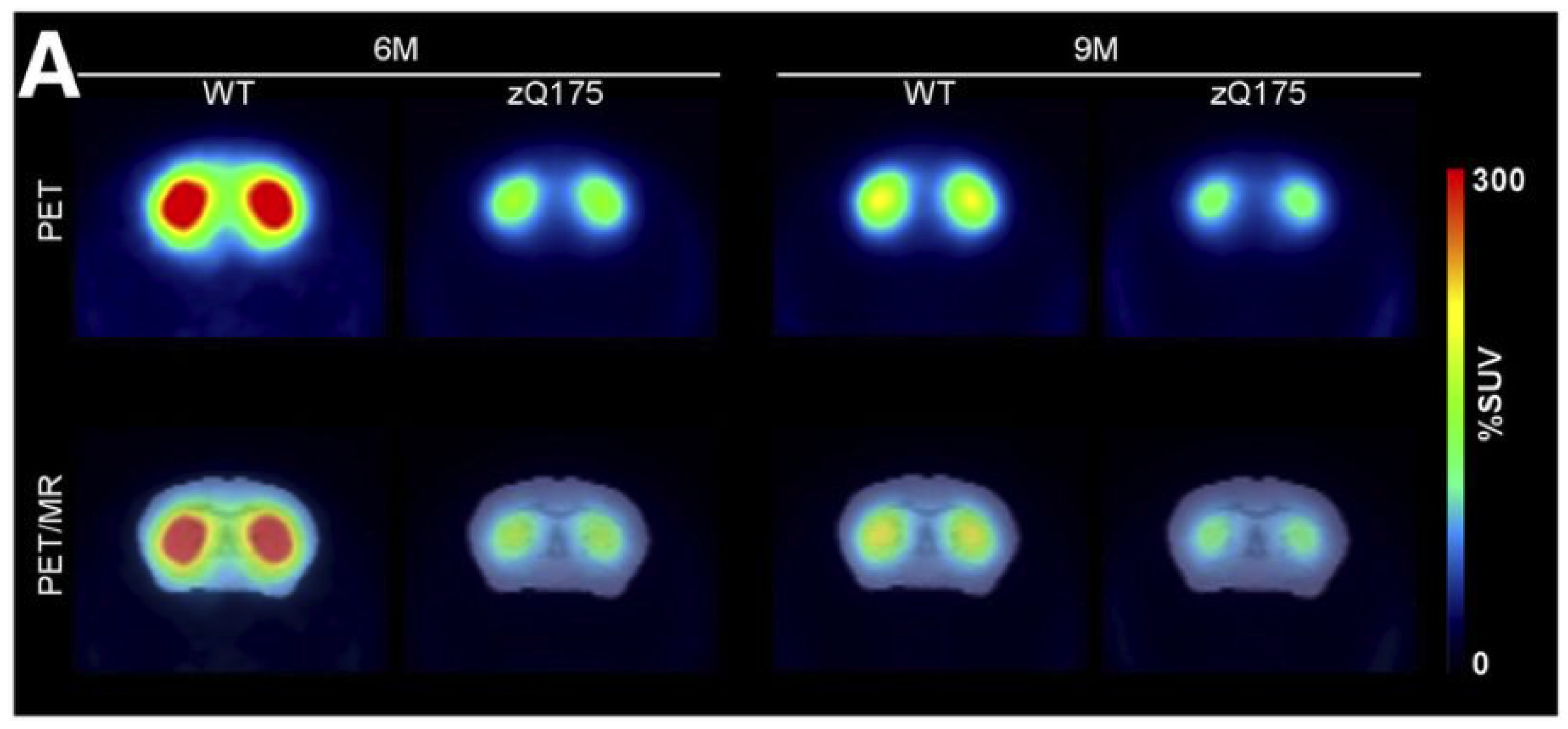 Molecules 25 00482 g001