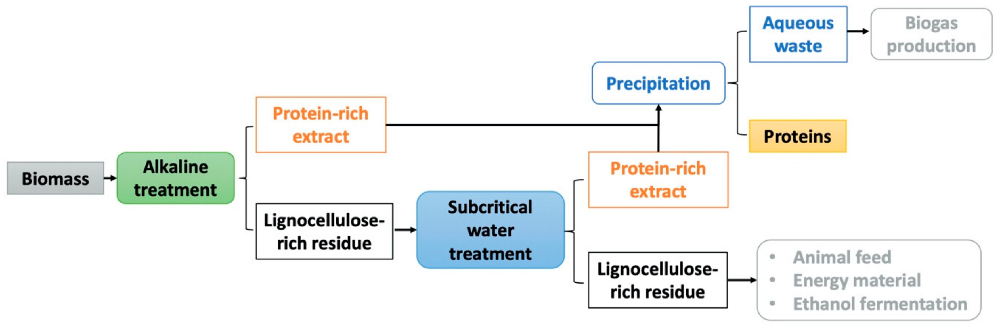 Molecules 25 00488 g006 Molecules 25 00488 g006