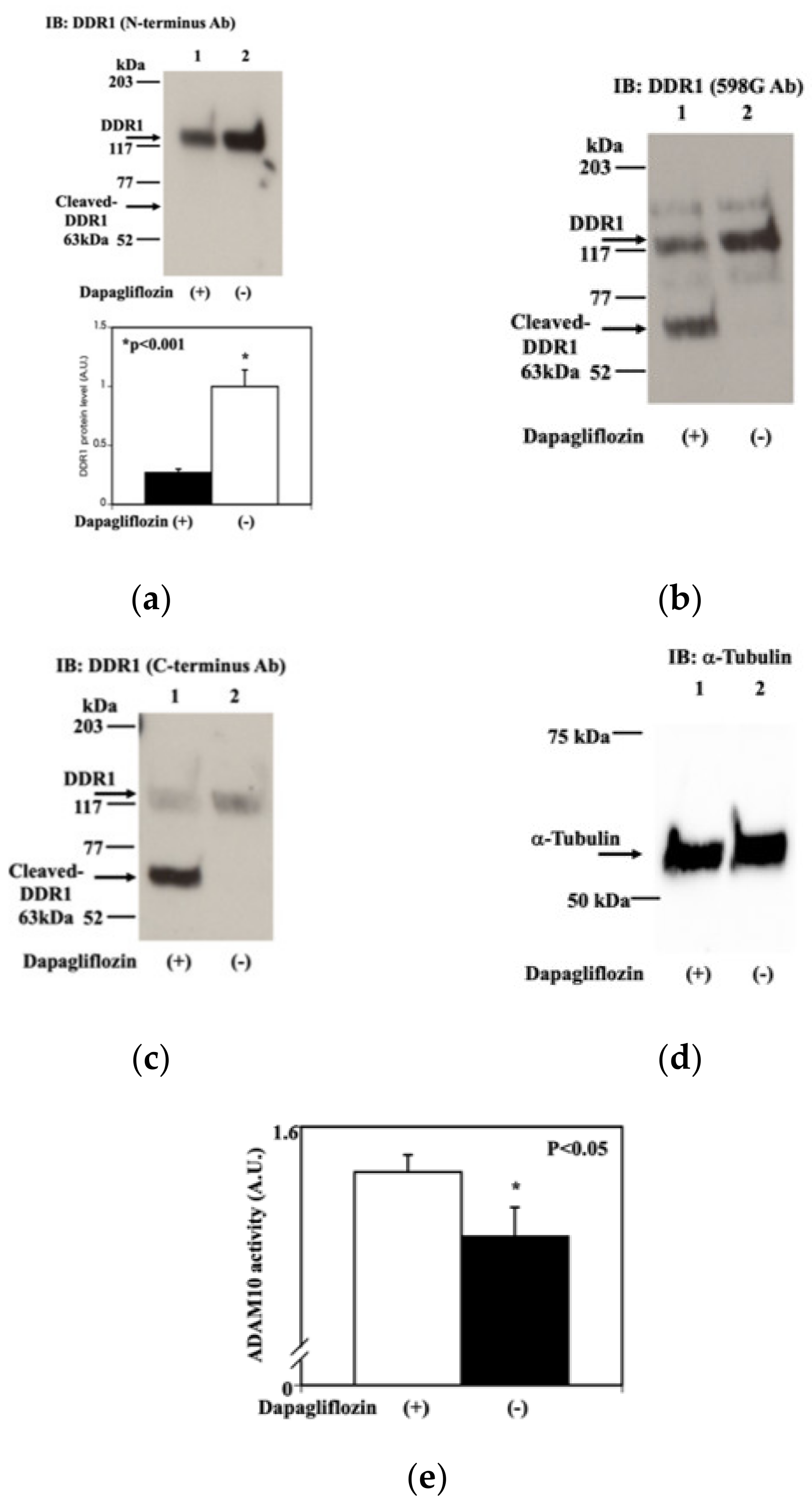 Molecules 25 00495 g005 Molecules 25 00495 g005