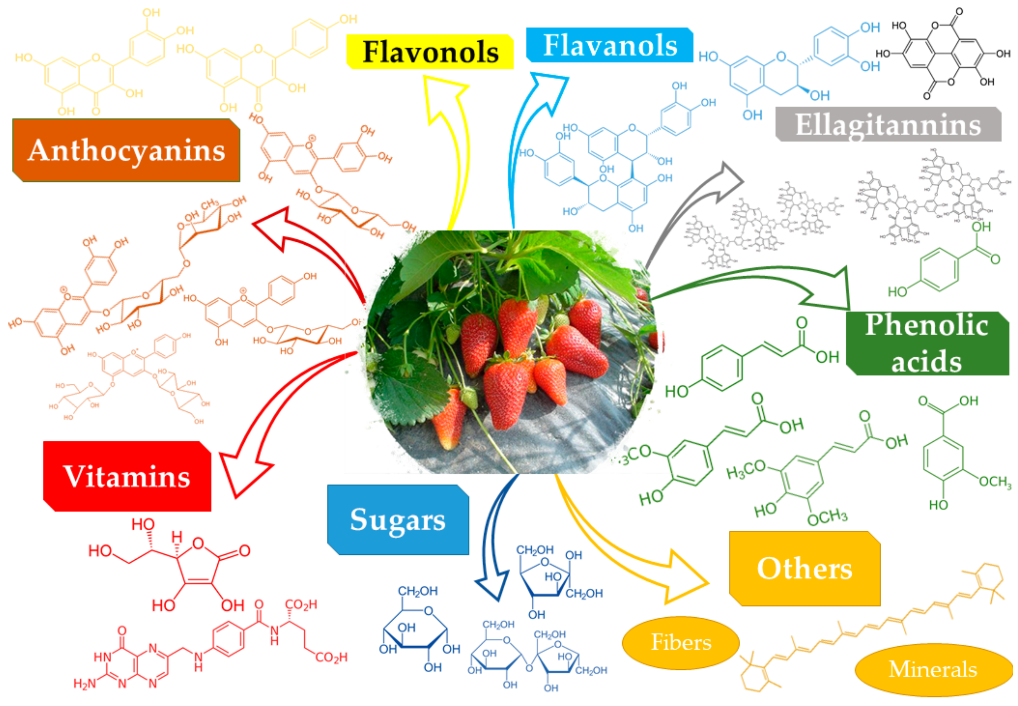 Molecules 25 00498 g001 Molecules 25 00498 g001