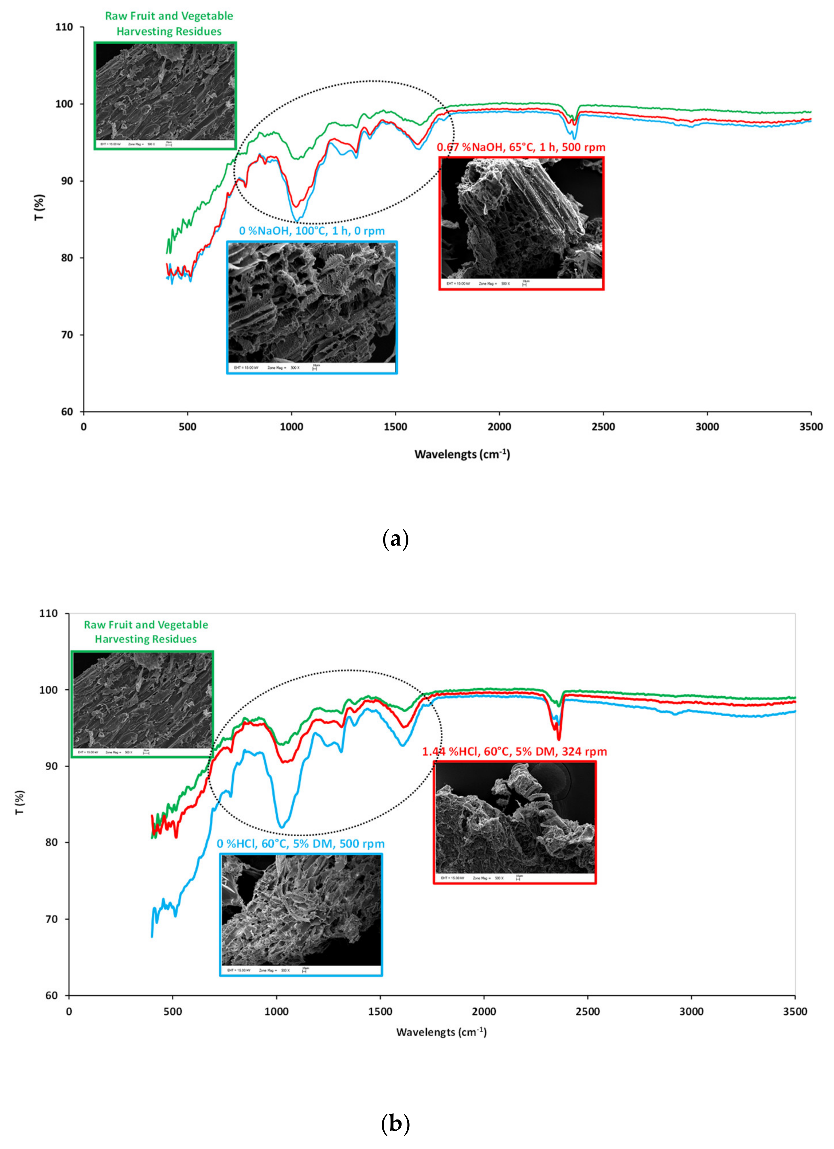 Molecules 25 00500 g004