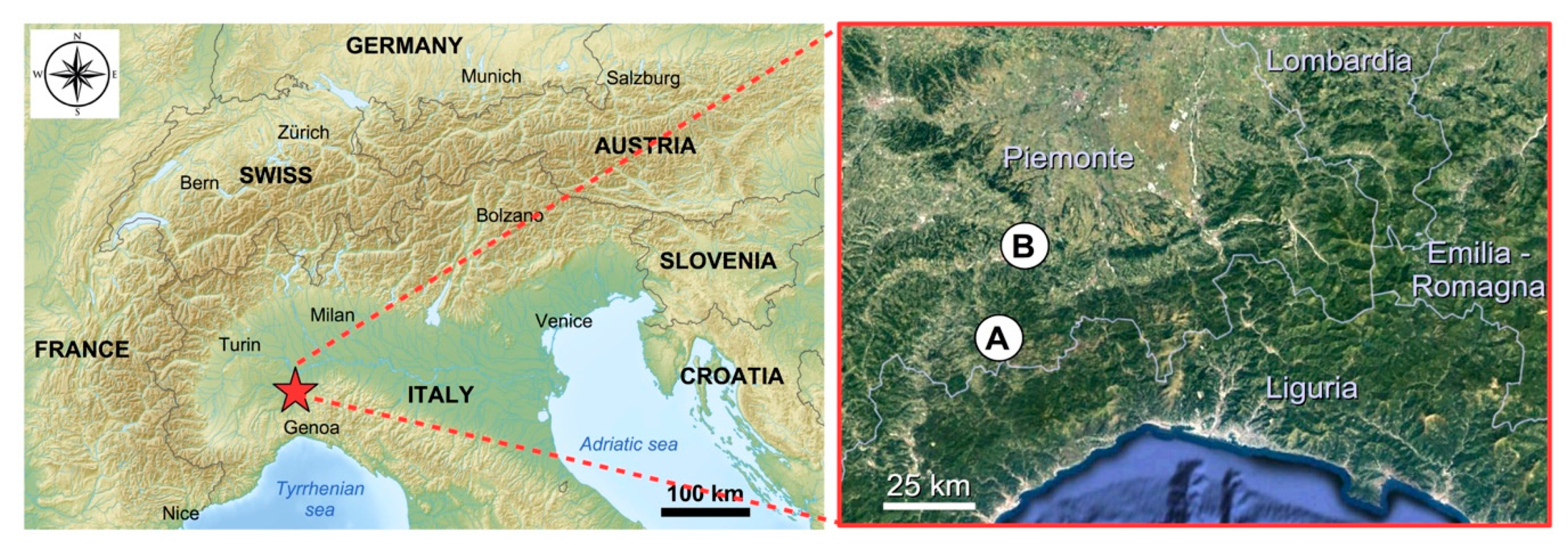 Molecules 25 00504 g007