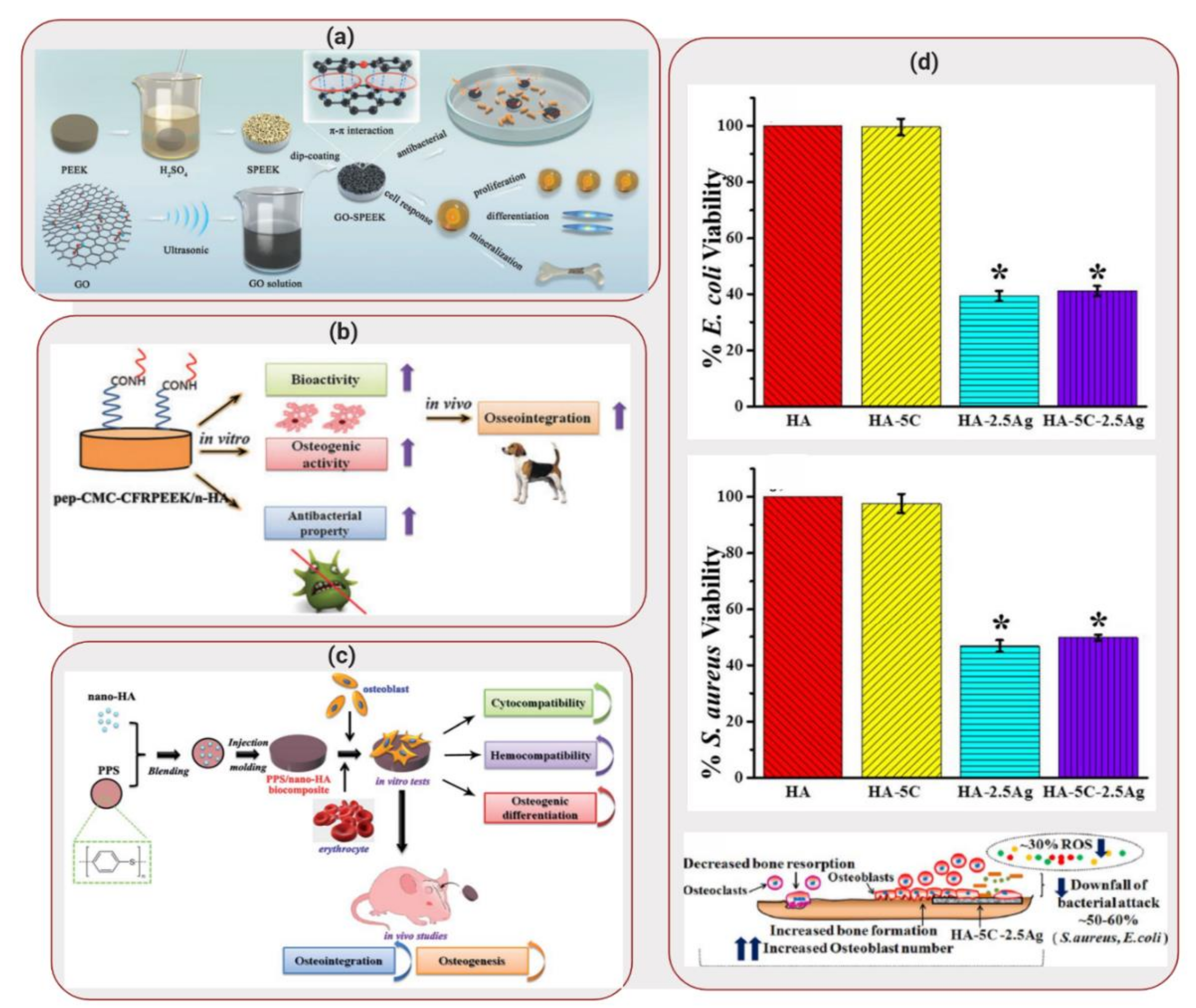 Molecules 25 00507 g003