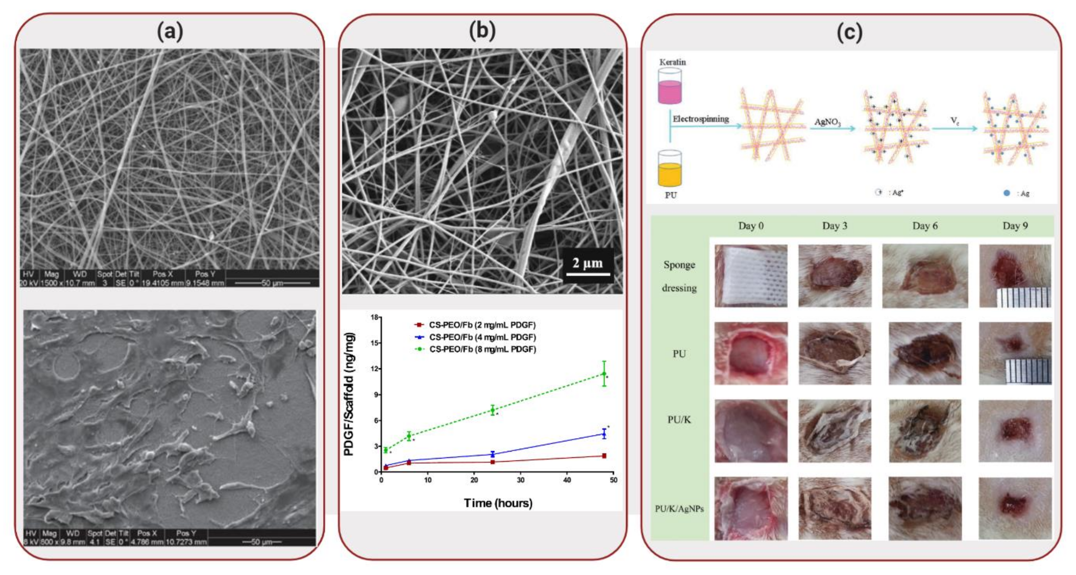 Molecules 25 00507 g004