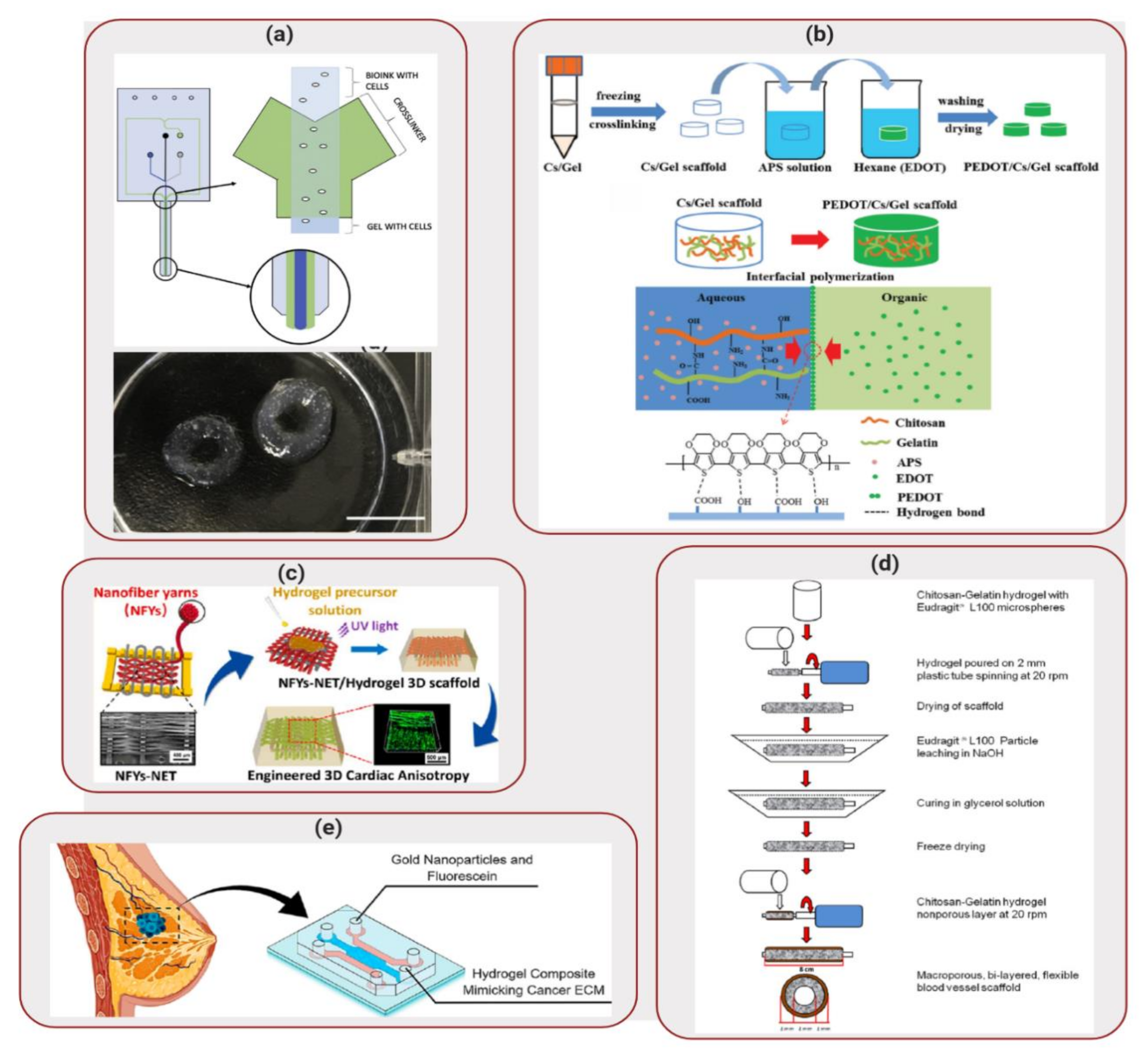 Molecules 25 00507 g005