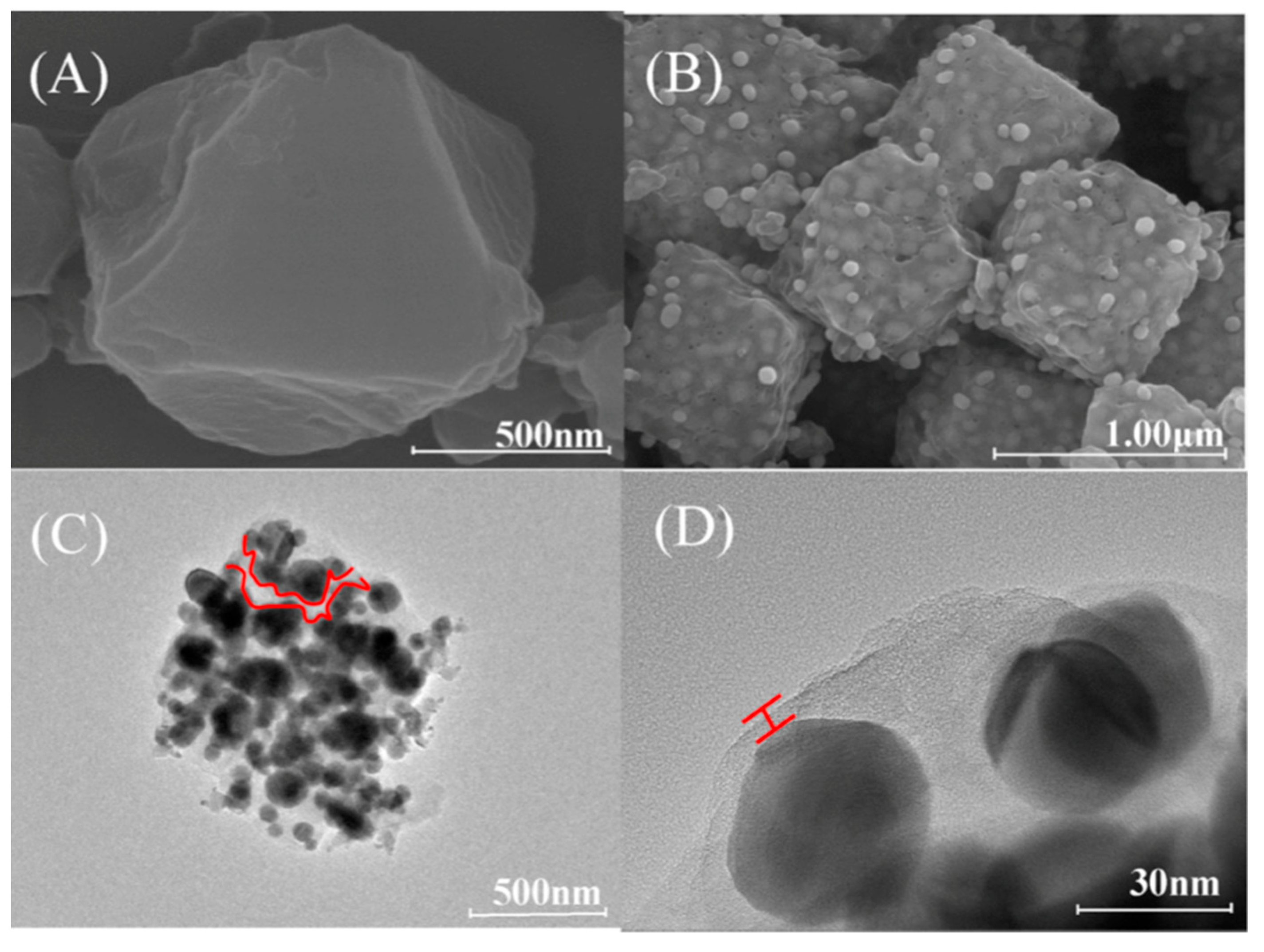 Molecules 25 00513 g003 Molecules 25 00513 g003