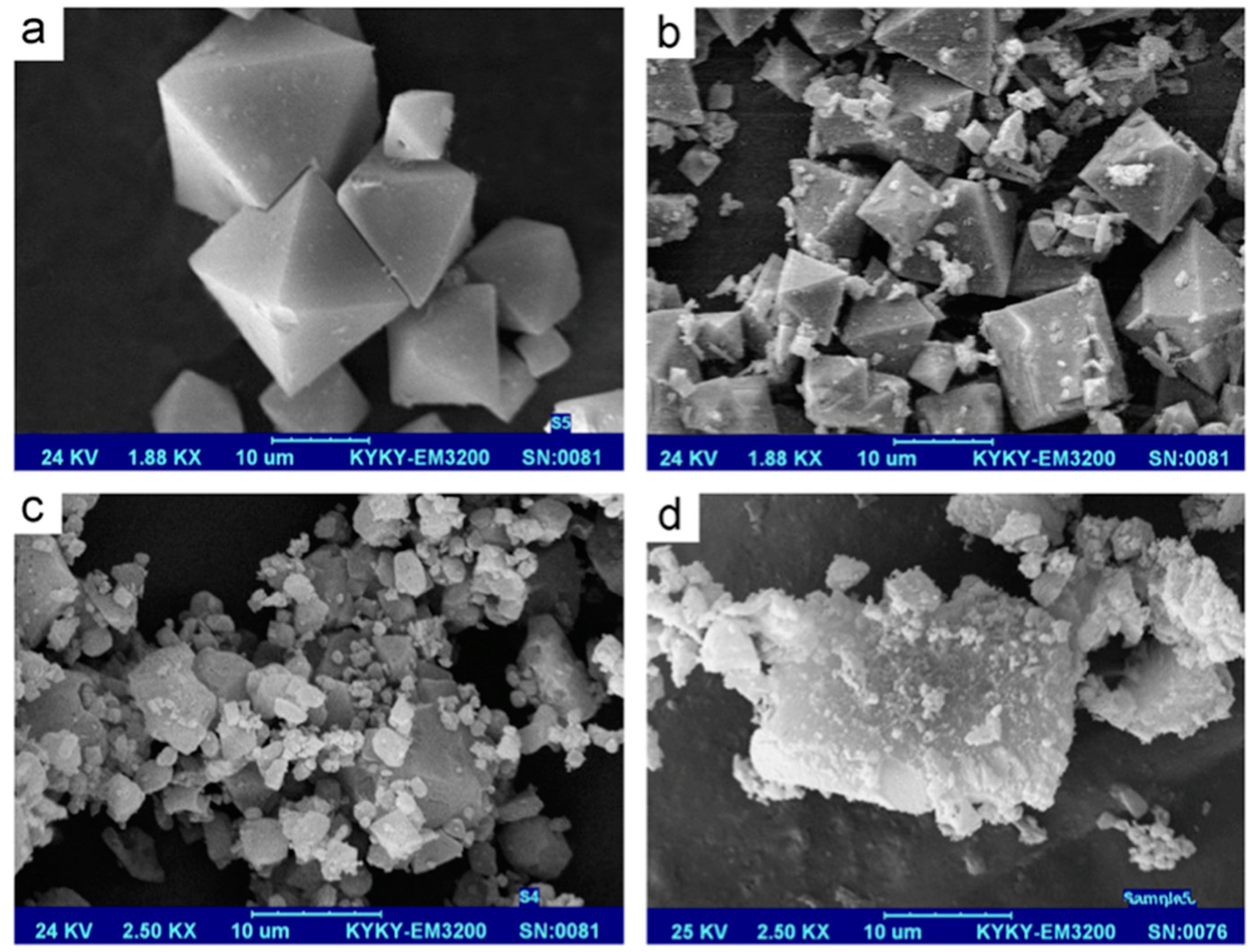 Molecules 25 00513 g007 Molecules 25 00513 g007