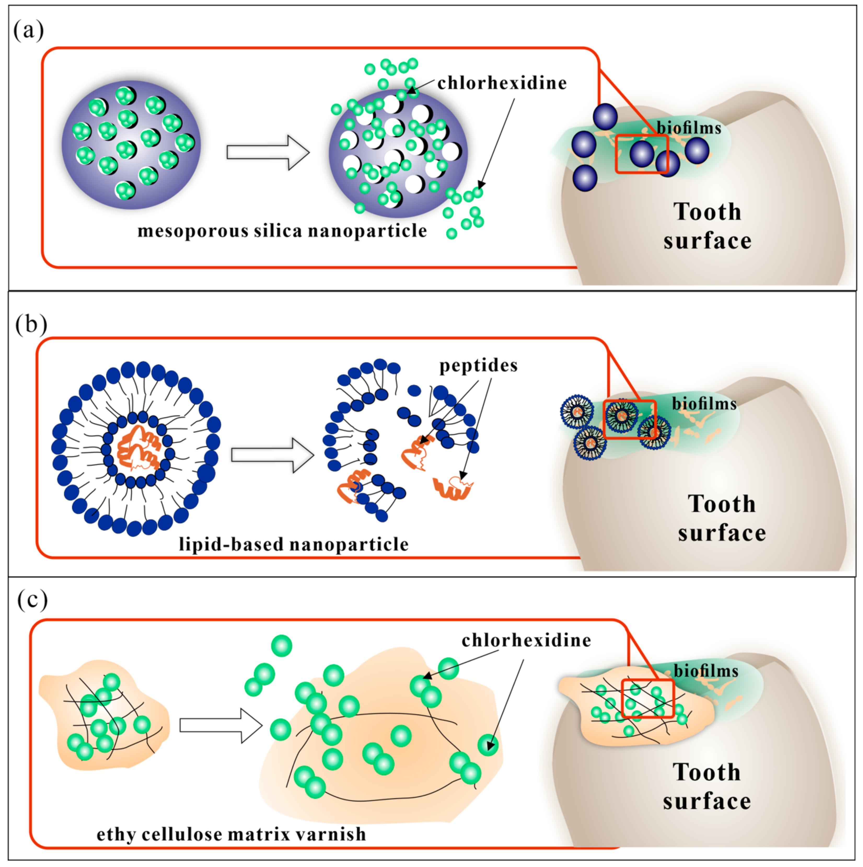 Molecules 25 00516 g002 Molecules 25 00516 g002