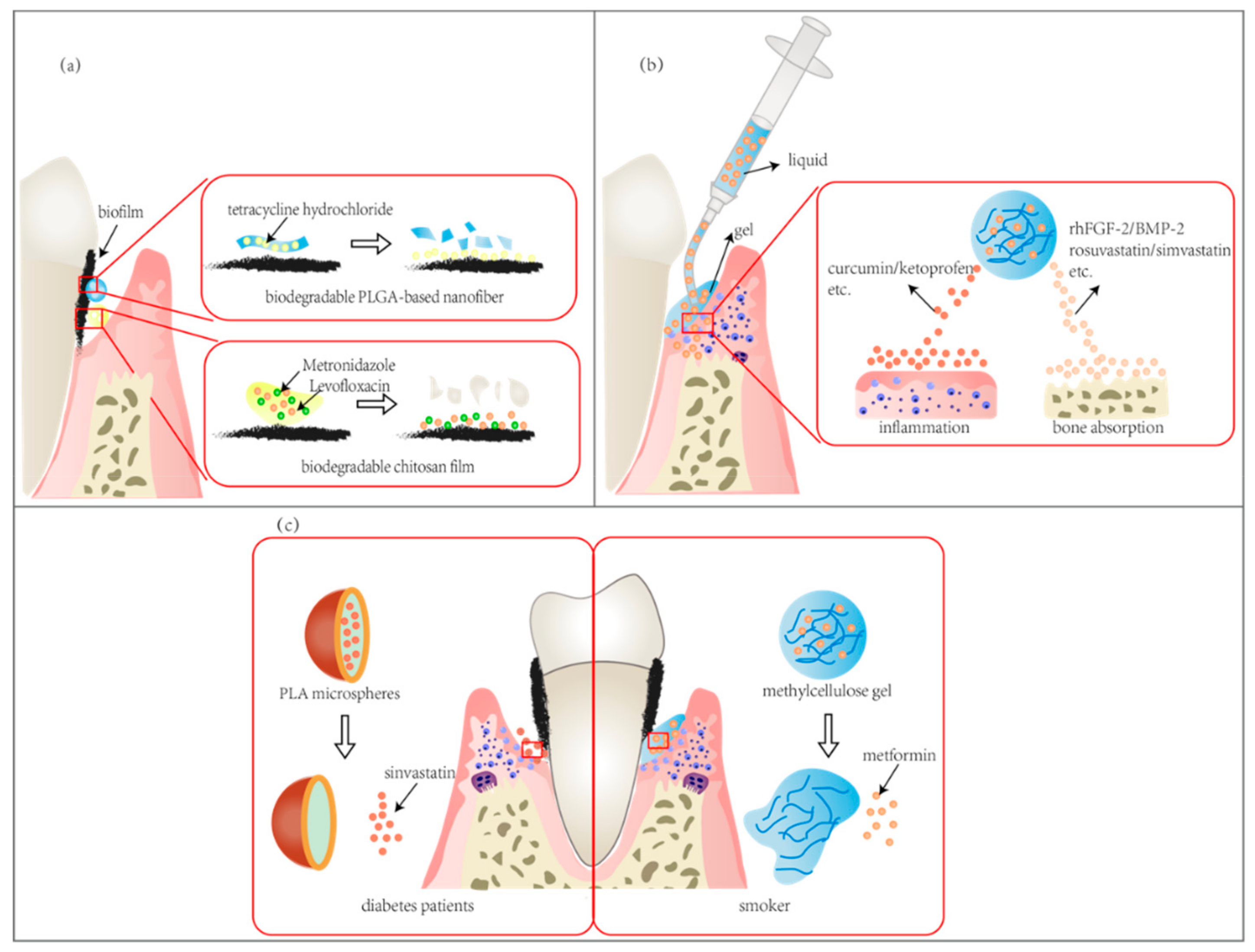 Molecules 25 00516 g005 Molecules 25 00516 g005