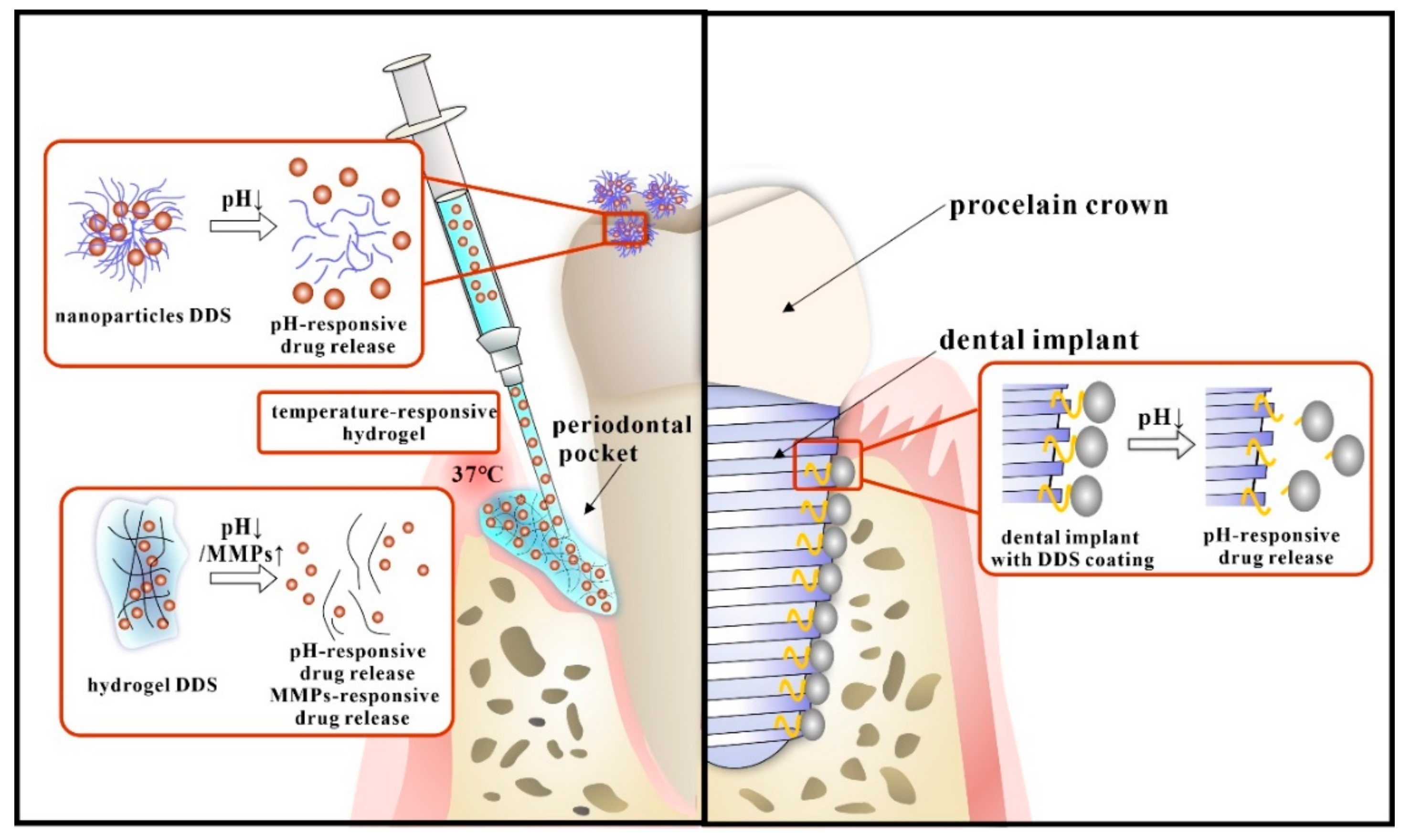 Molecules 25 00516 g007 Molecules 25 00516 g007