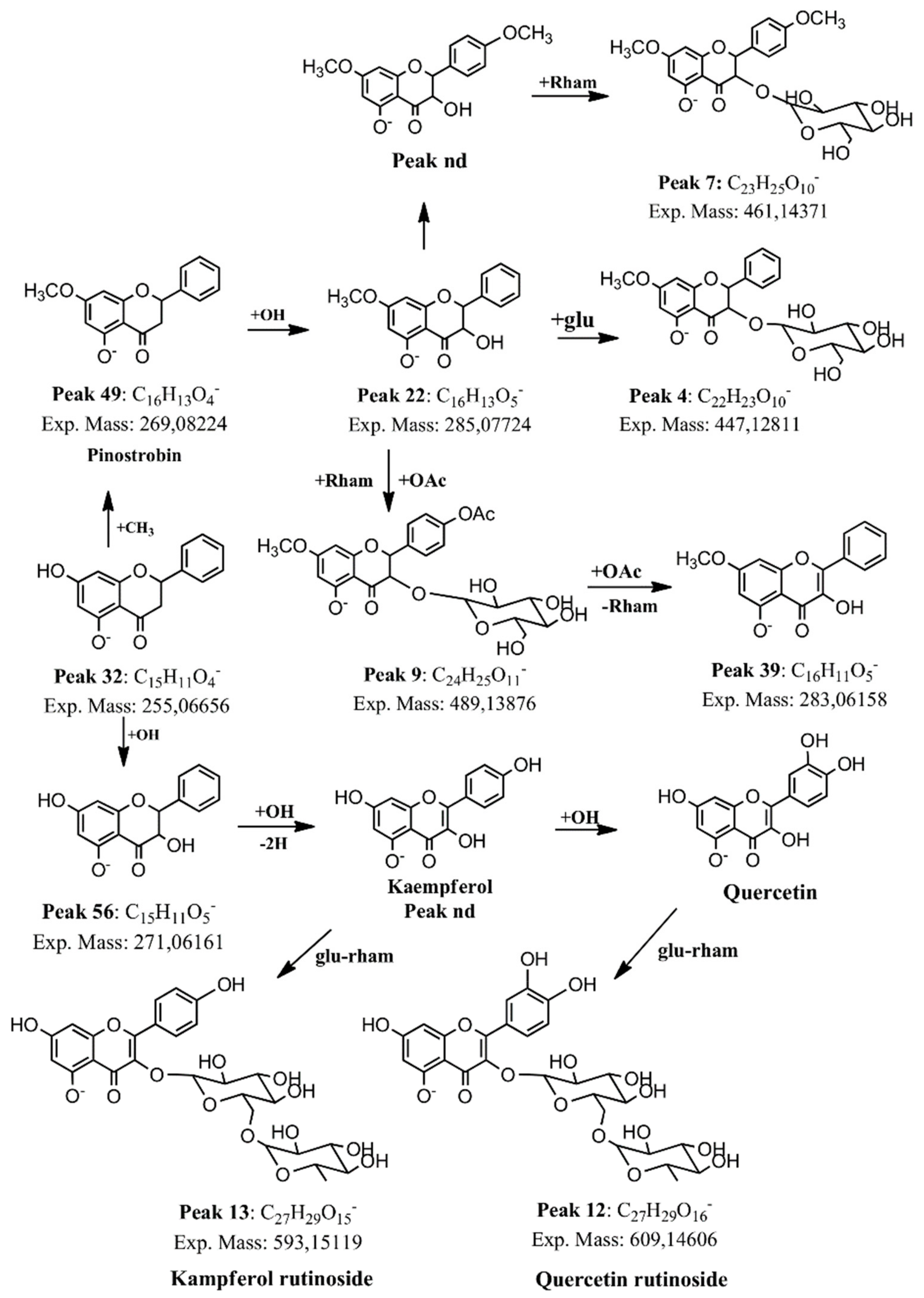 Molecules 25 00520 g004