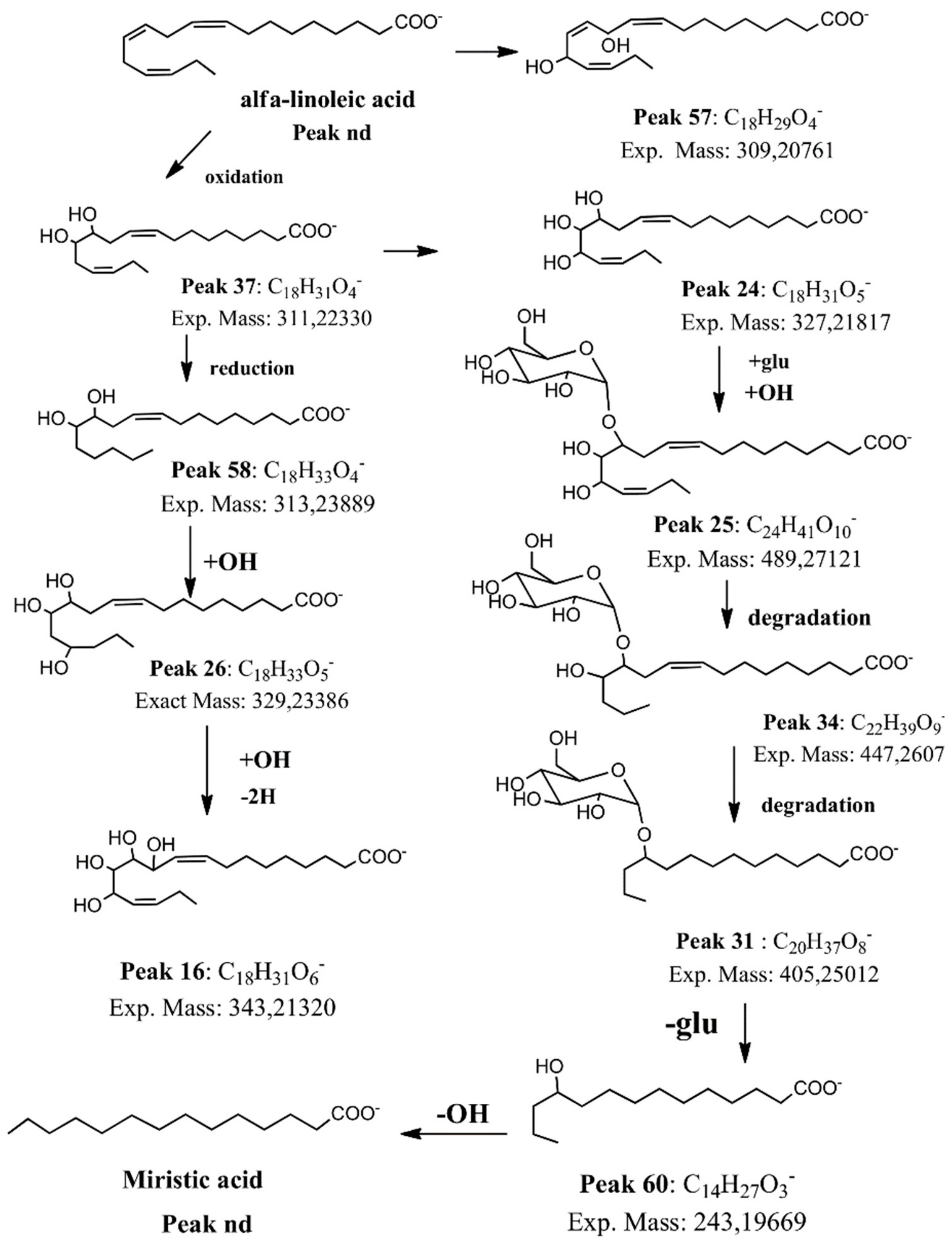 Molecules 25 00520 g005