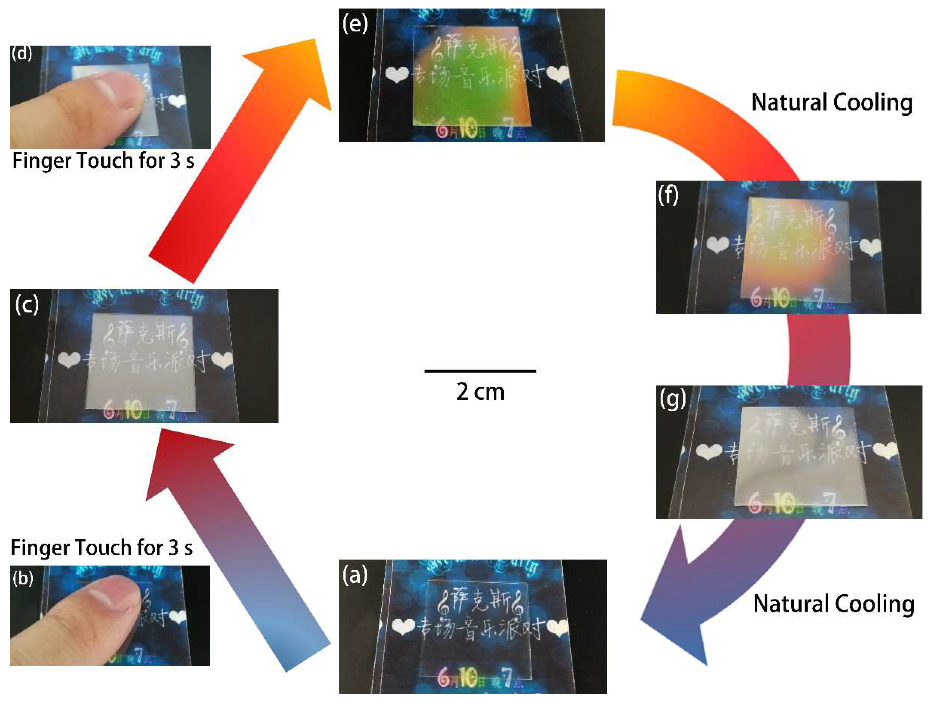 Molecules 25 00521 g005 Molecules 25 00521 g005