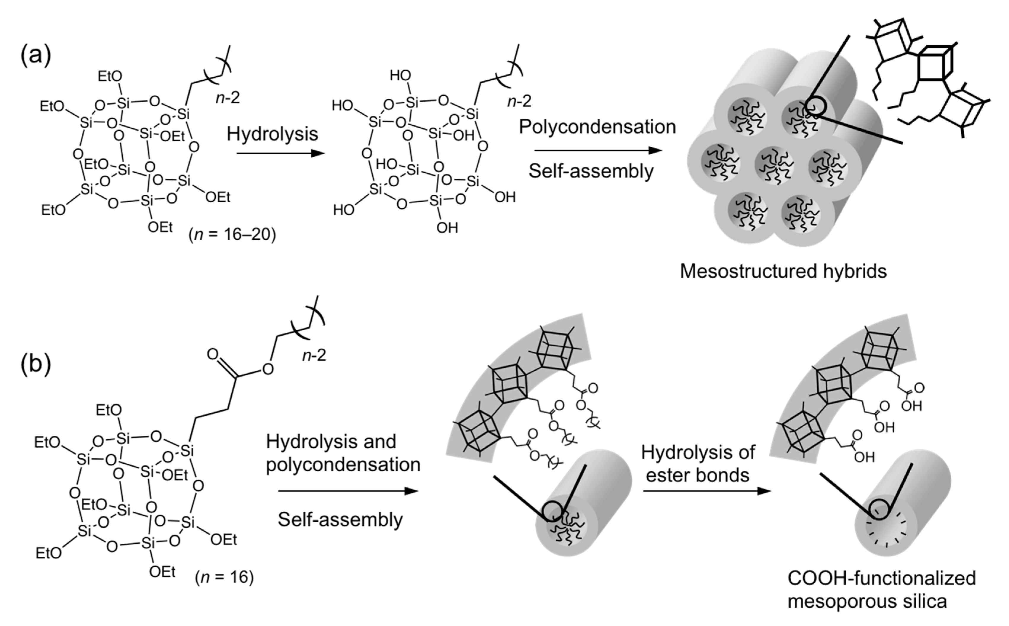 Molecules 25 00524 g004 Molecules 25 00524 g004